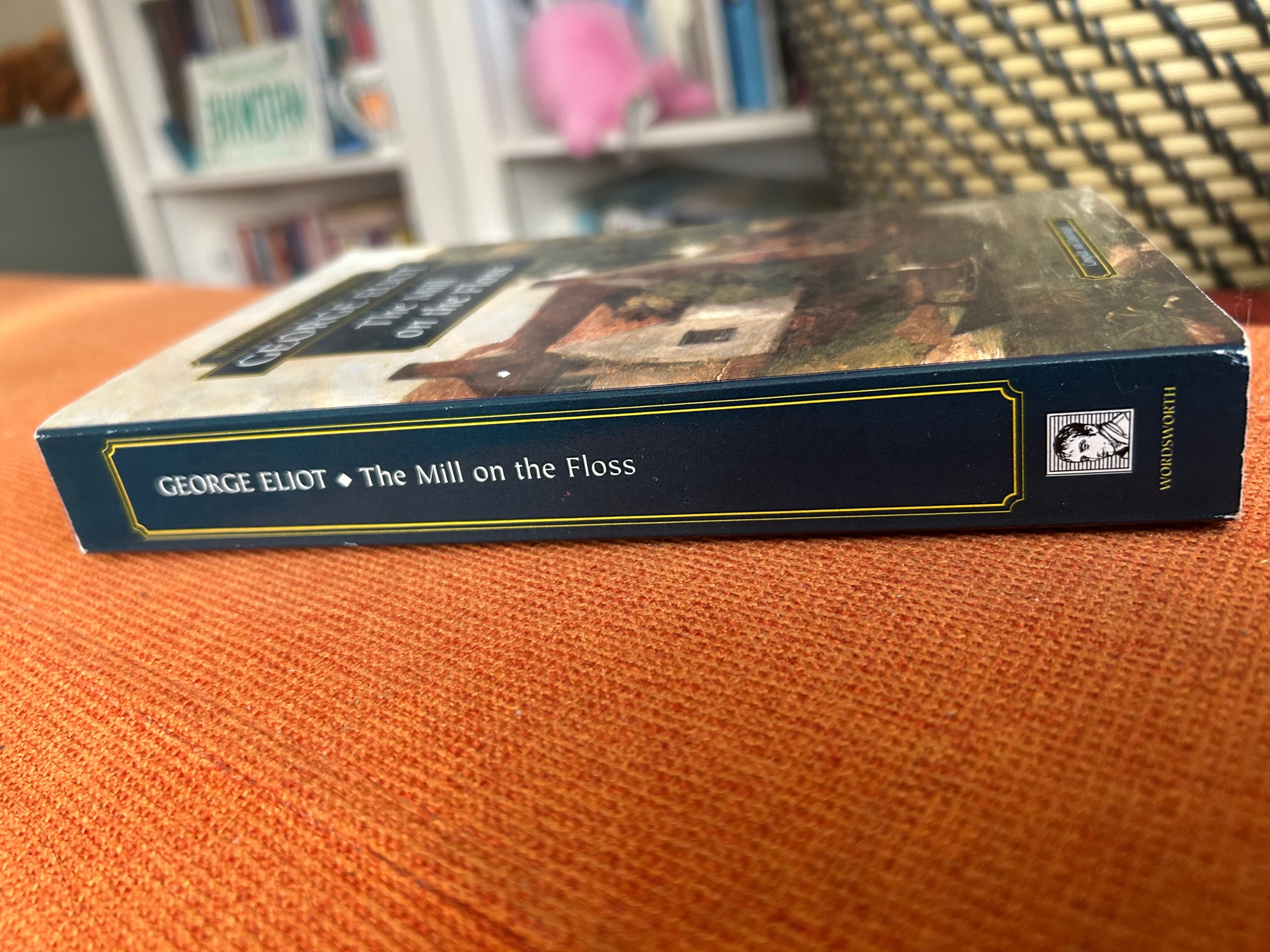 The Mill on the Floss - George Eliot - photo 2