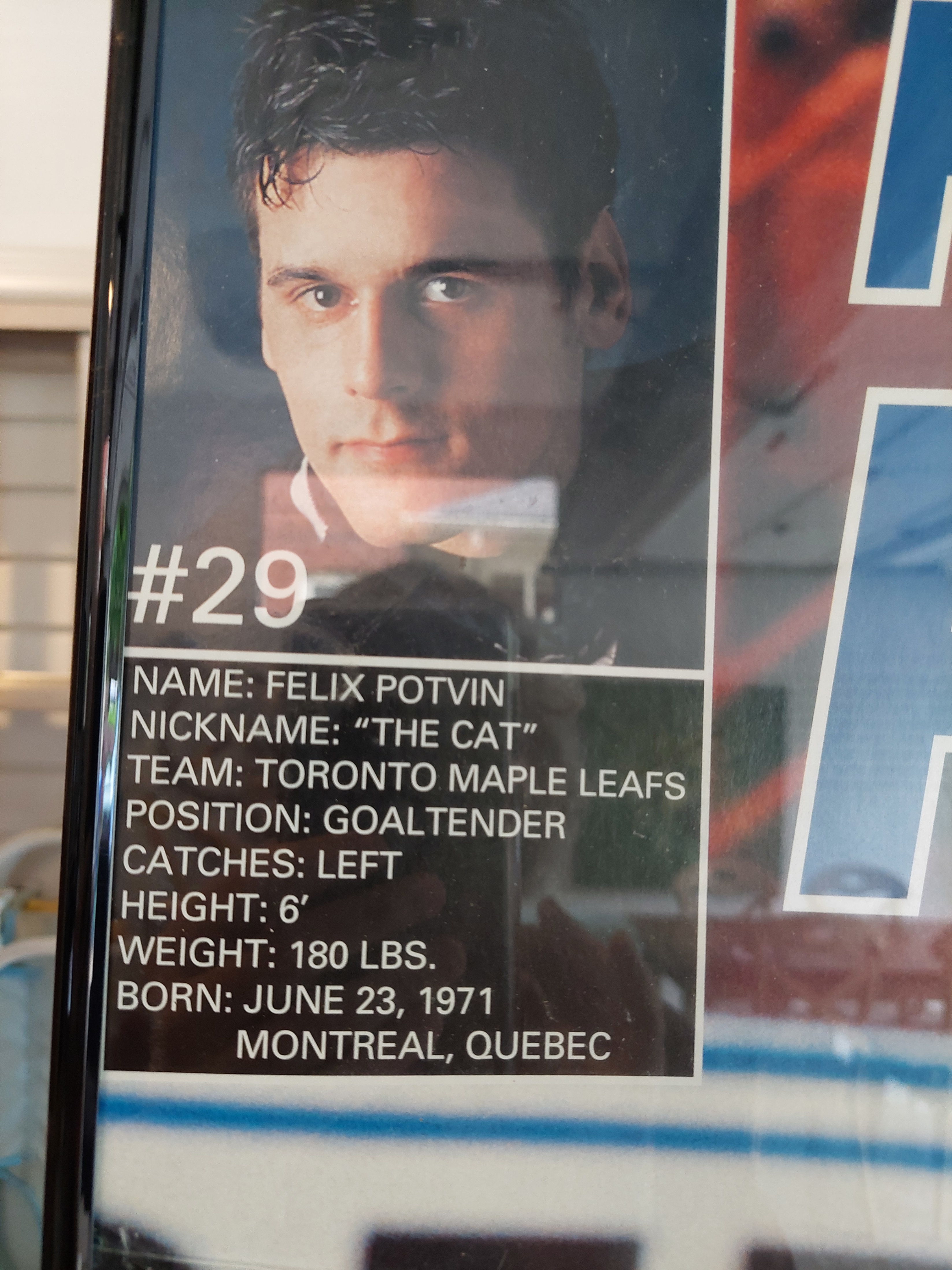 Felix Potvin "The Cat" Toronto Maple Leafs Goalie Poster - photo 3