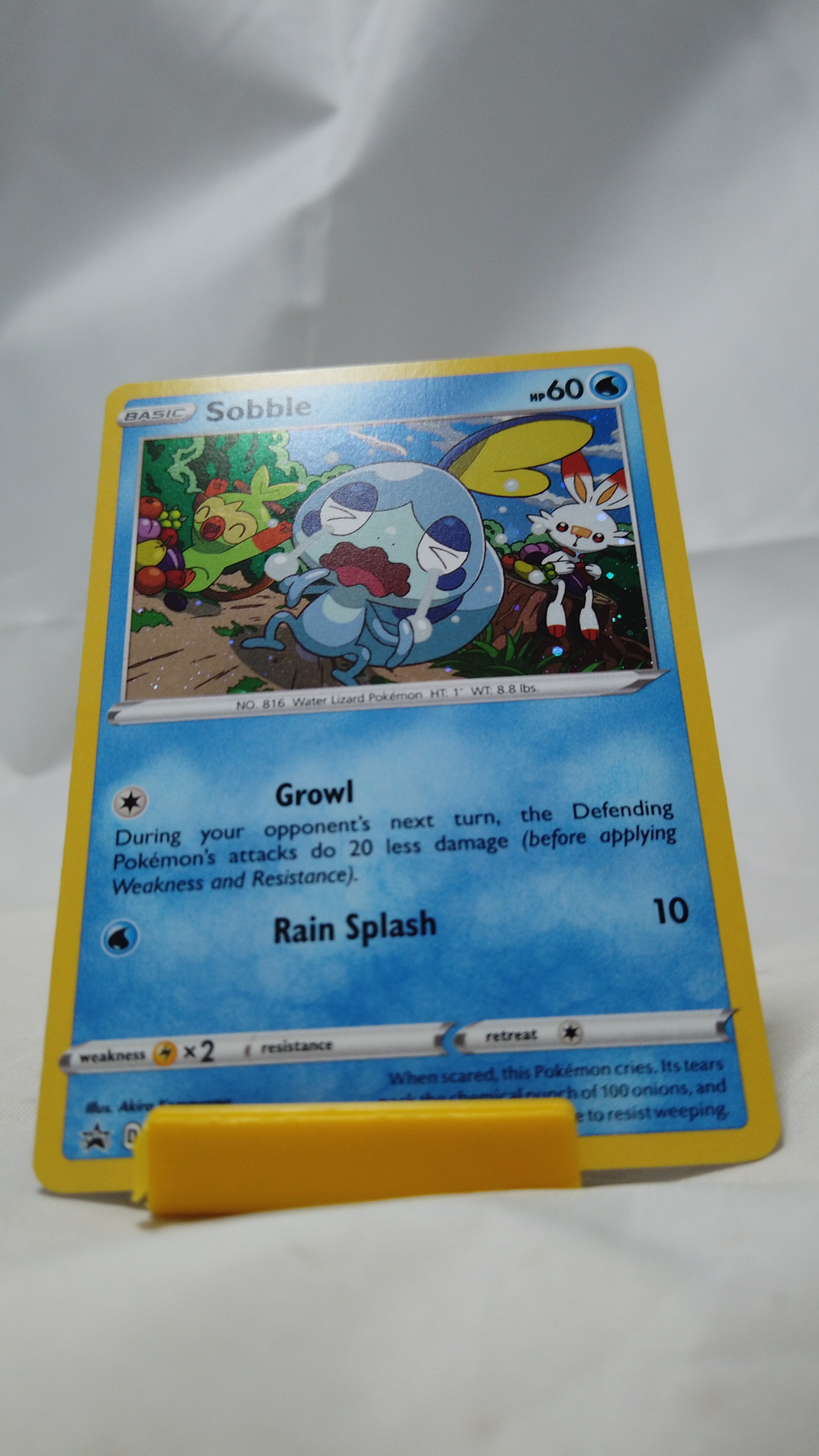 Pokemon Sobble SWSH073/307 SWSH Black Star Promos Holo Promo NM