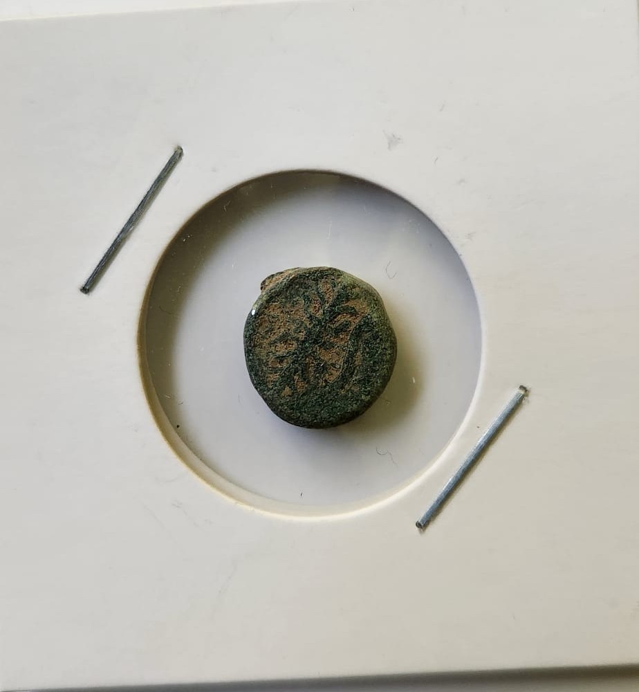 🏺 Lot of 7 Ancient Judaean Bronze Coins – Hasmonean/Herodian - photo 5