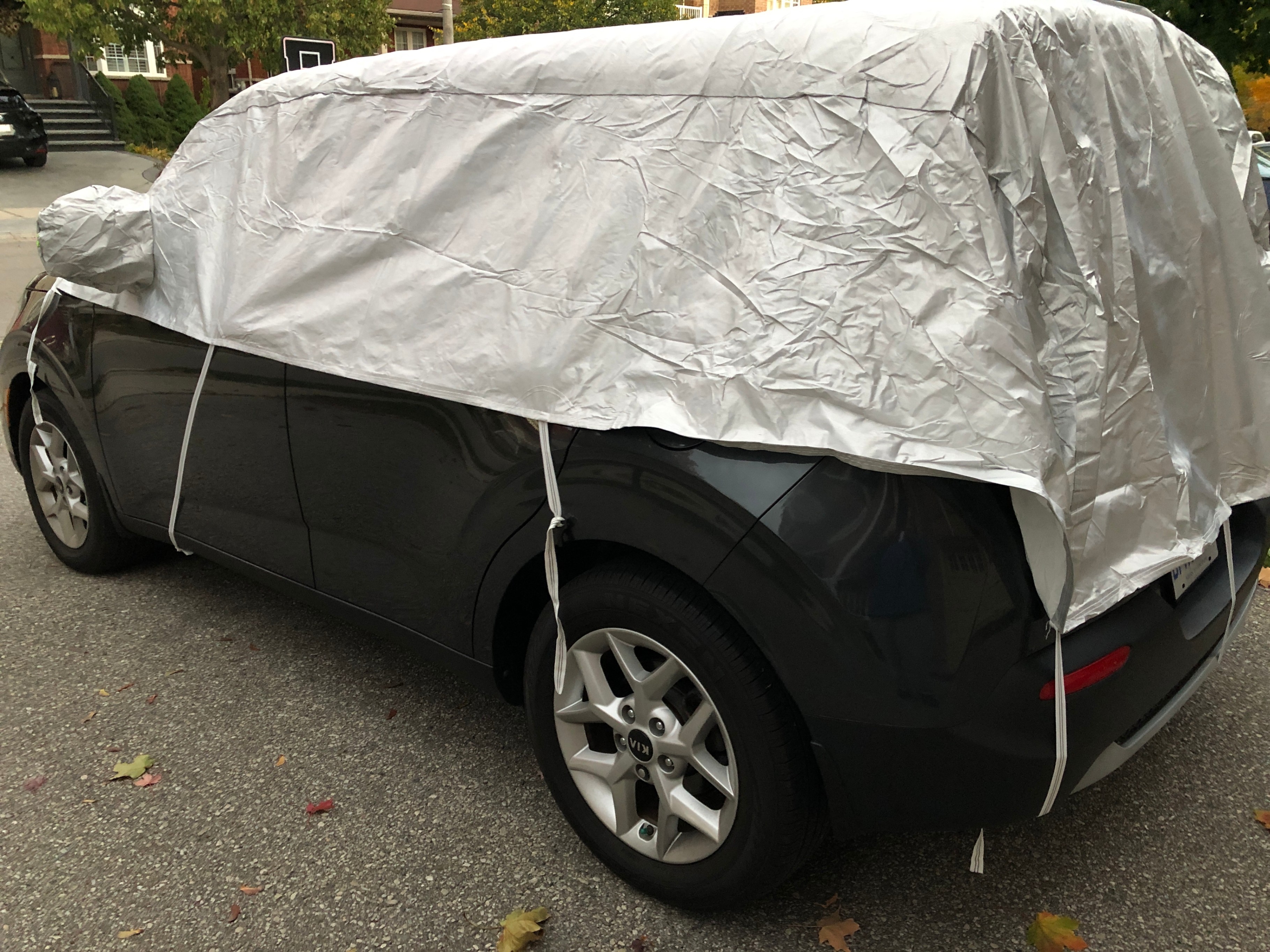 Silver Car Cover with Tie-Downs - photo 2