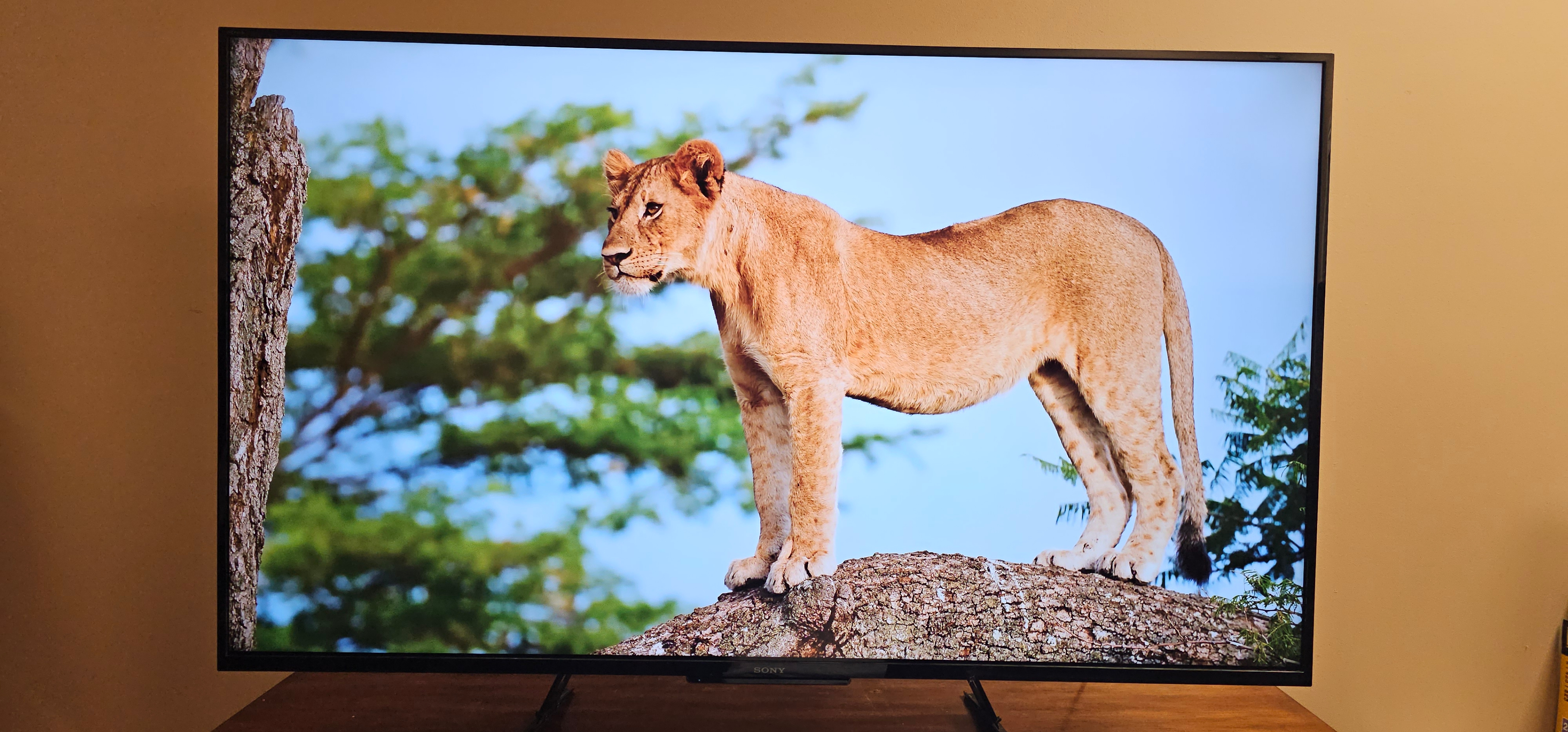 Sony 60" Smart 4K TV (KD-60X690E) - photo 3