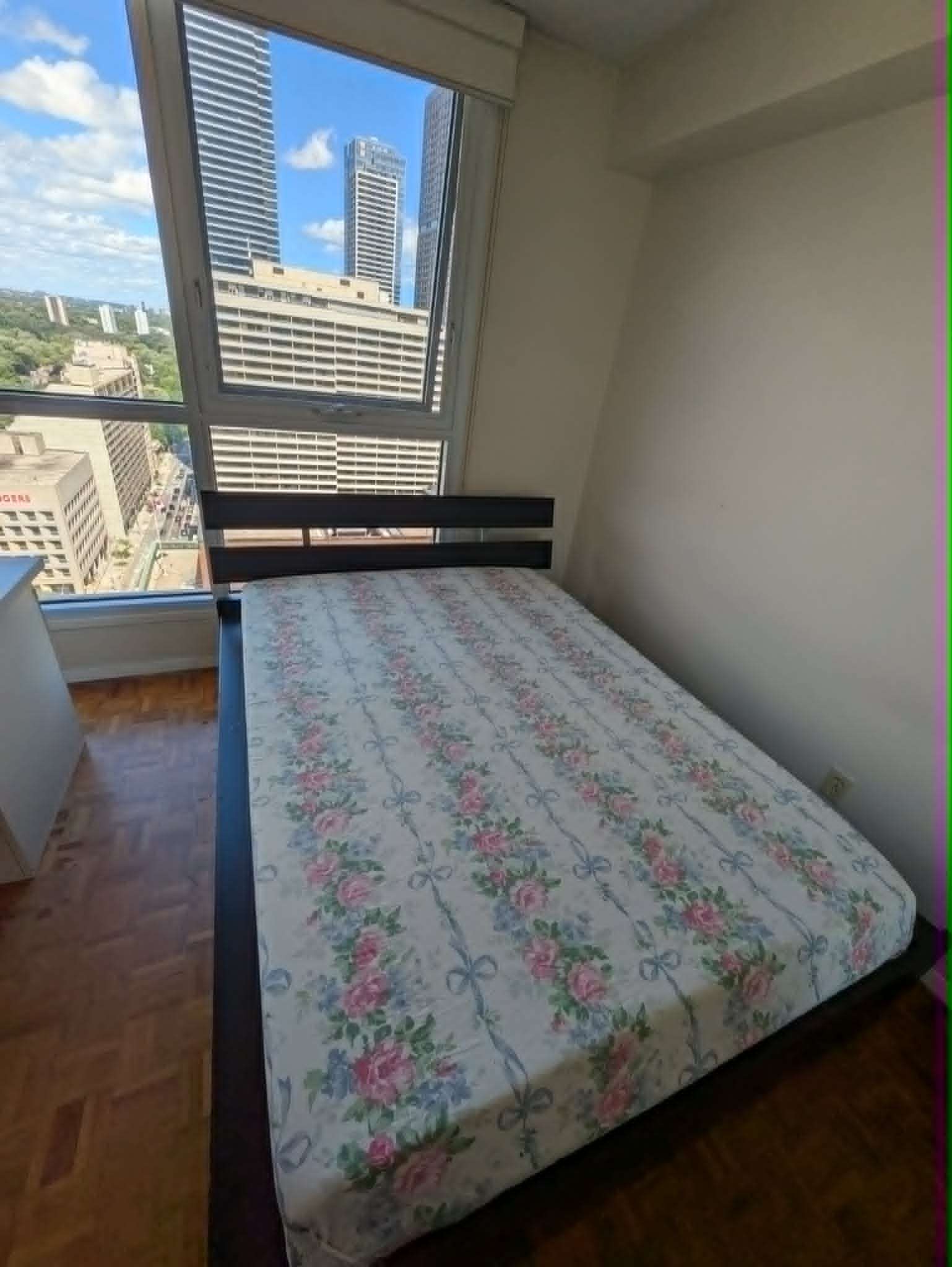 Bedframe + mattress
