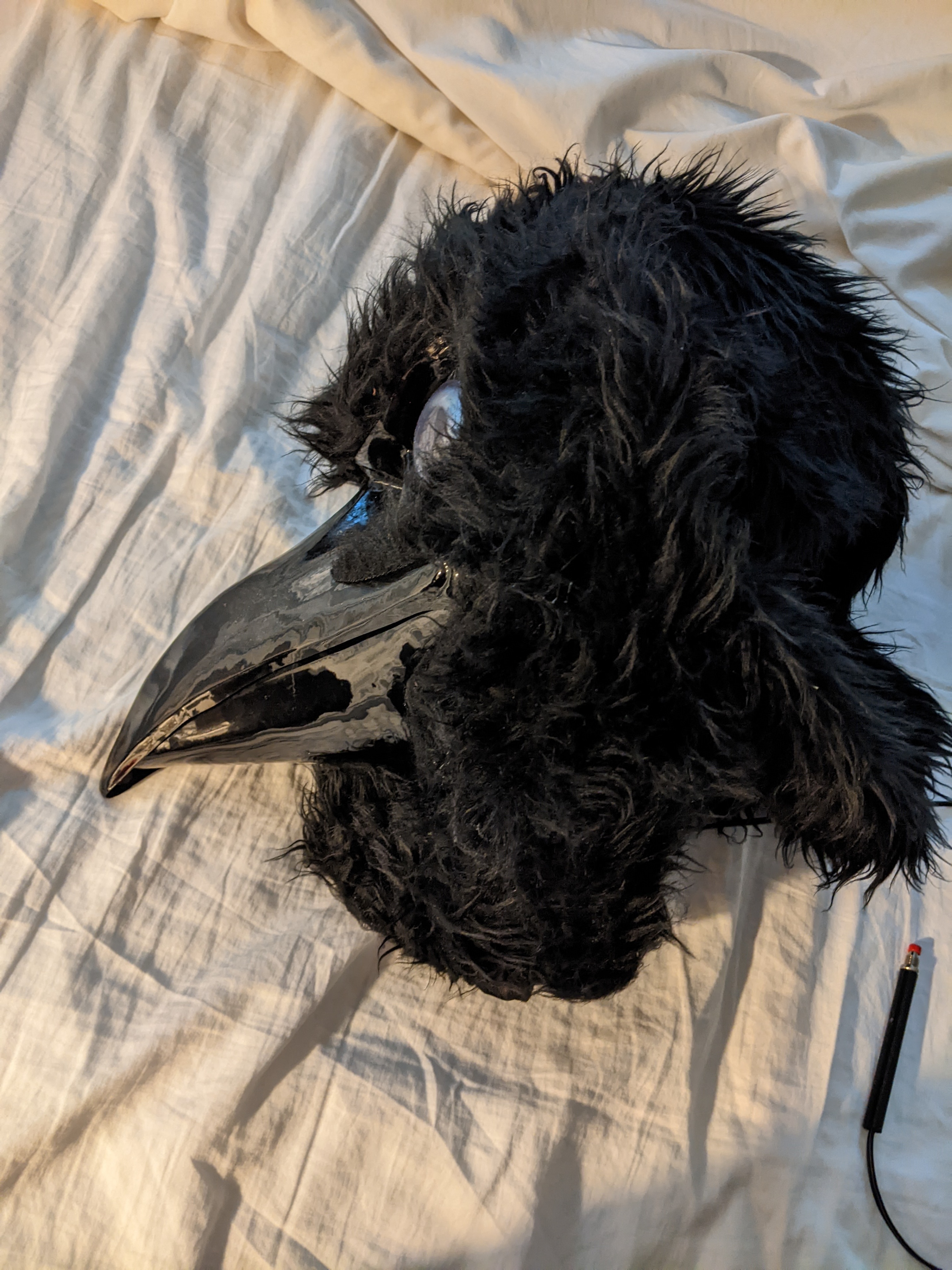 Hallowe'en Raven Costume - photo 3