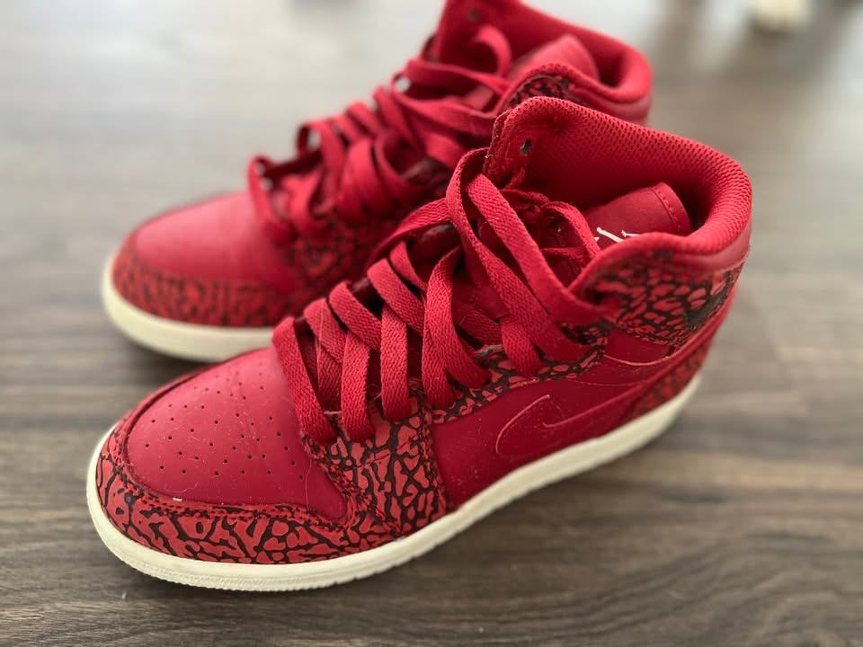 Jordan 1 Retro High 'Red Elephant'