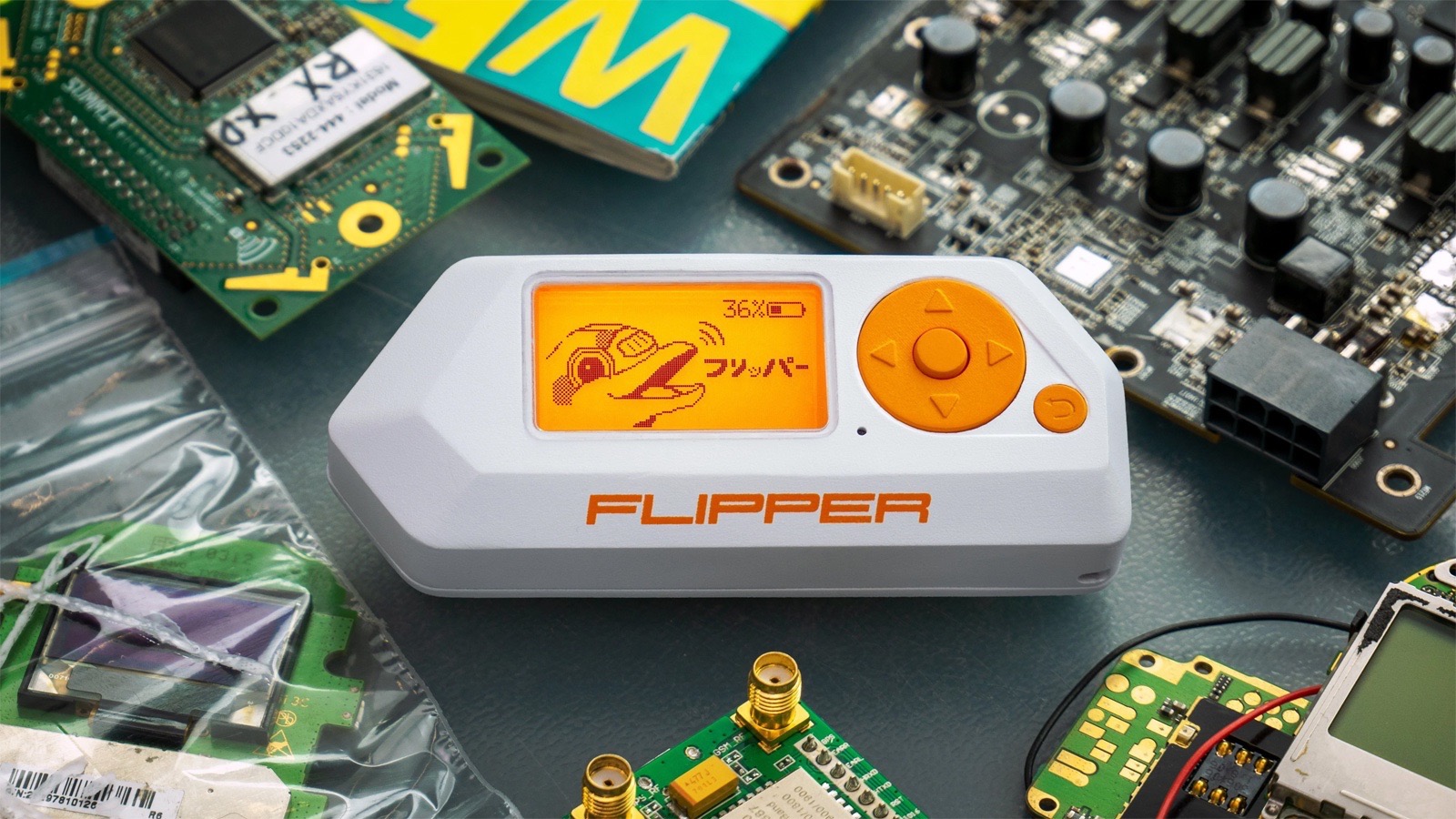 Flipper Zero - photo 3