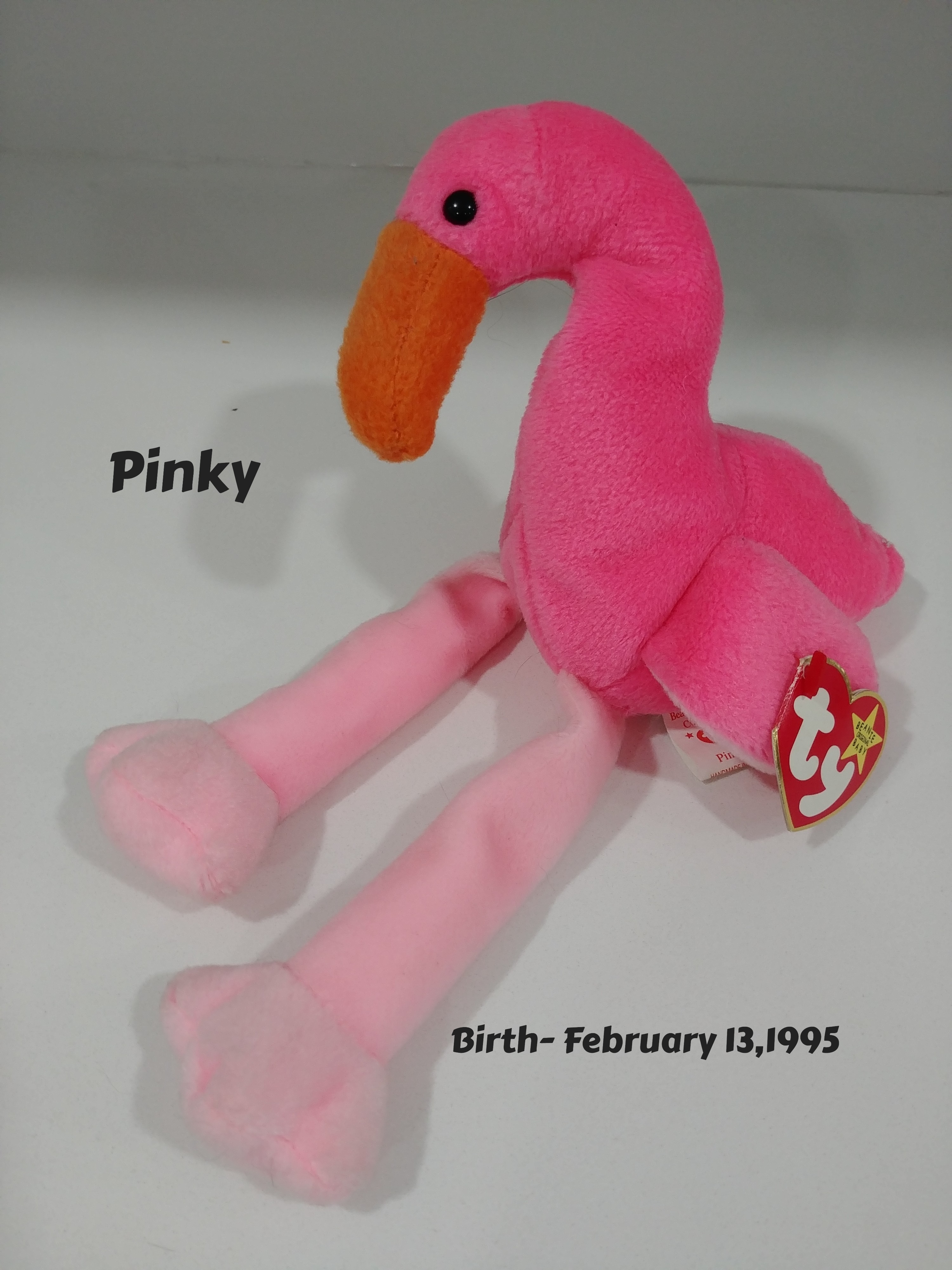 Ty Beany Baby Pinky With Birth Tag ,Like New.