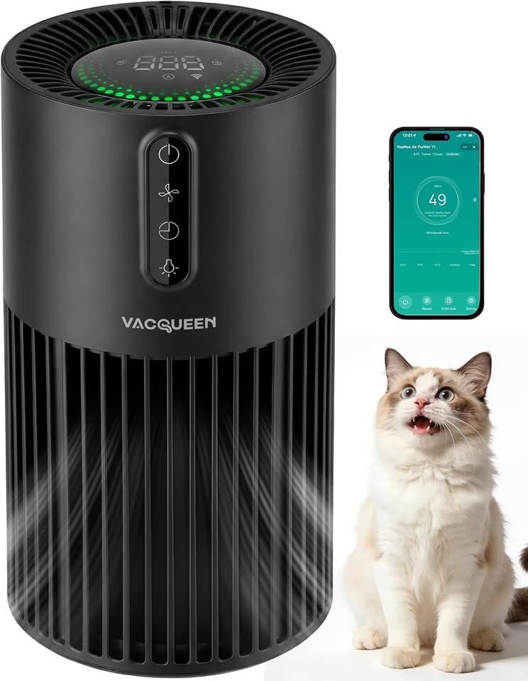 Air Purifiers for Bedroom