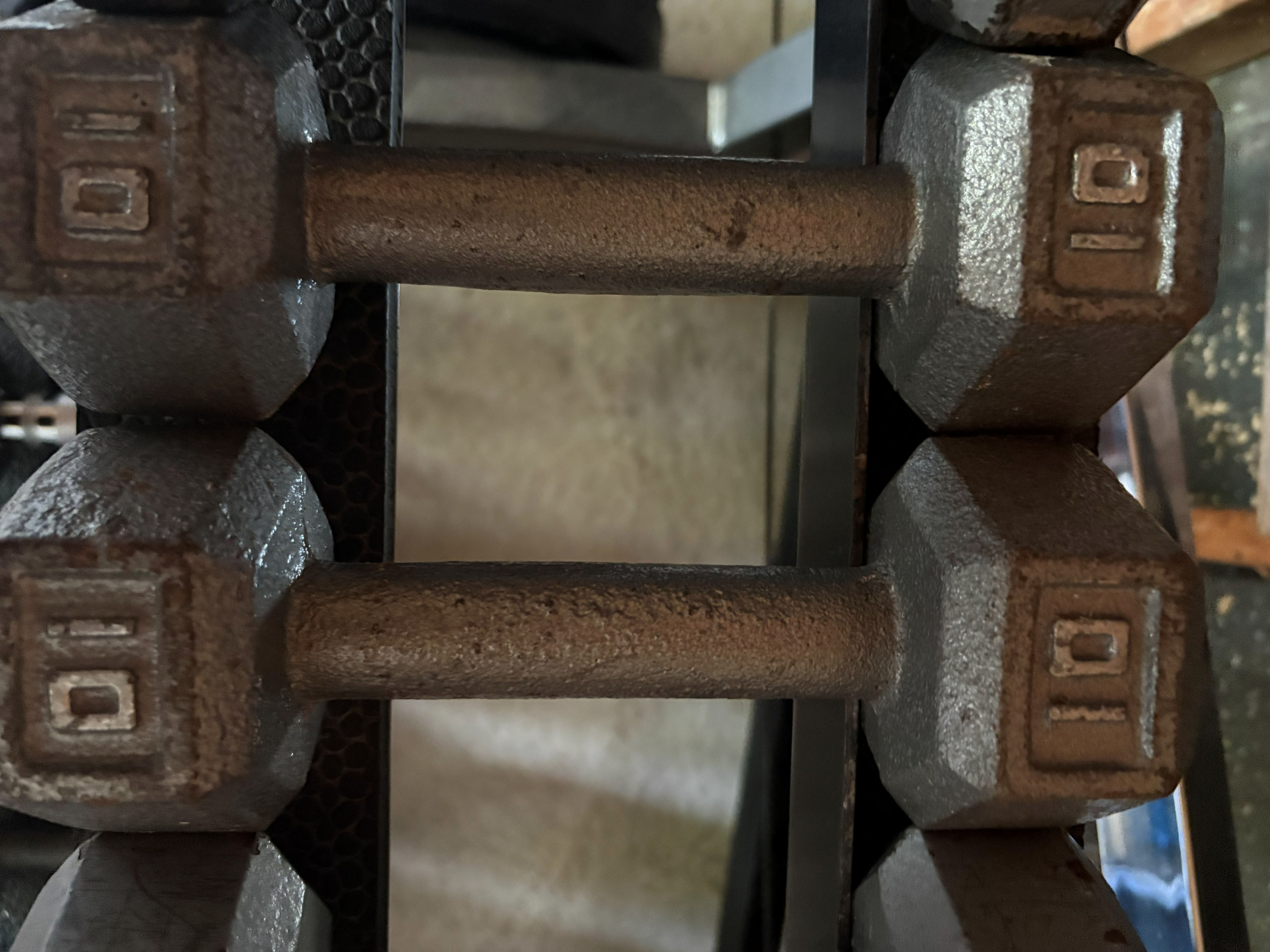 10lb Chrome Dumbbells (Pair)