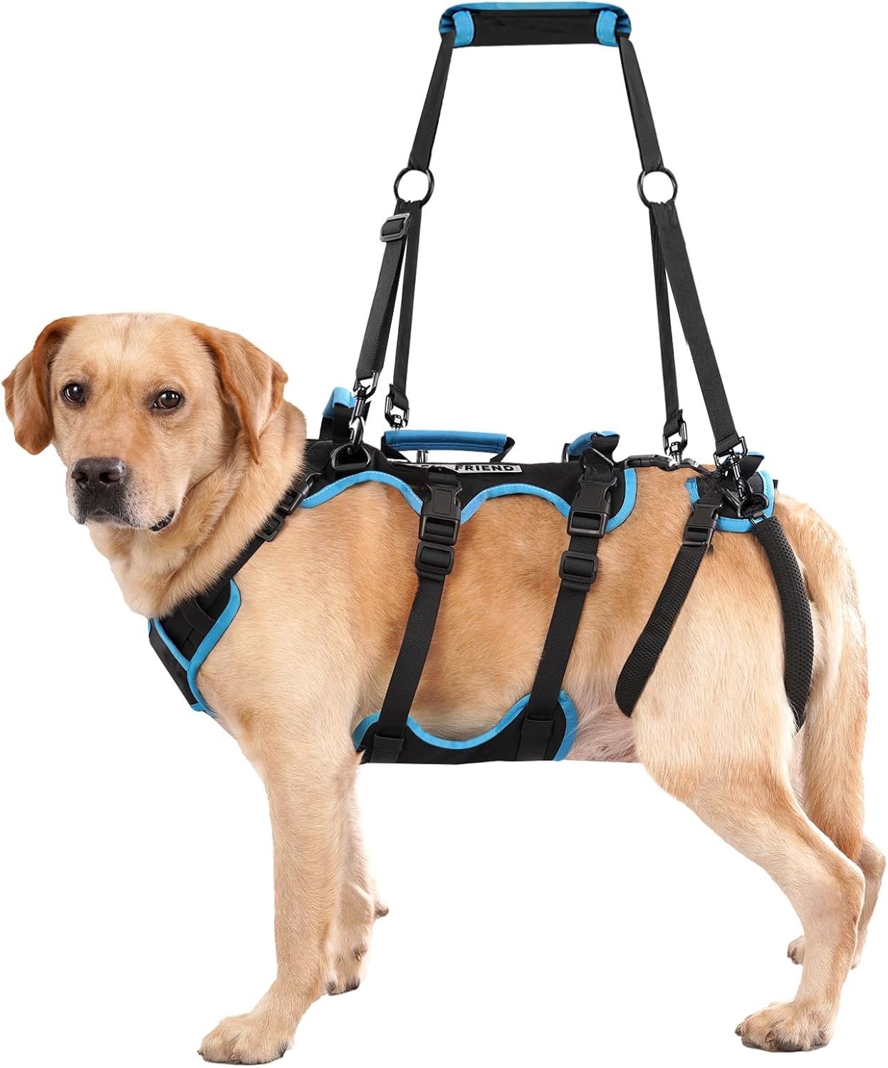 2-in-1 Detachable Dog Support Harness