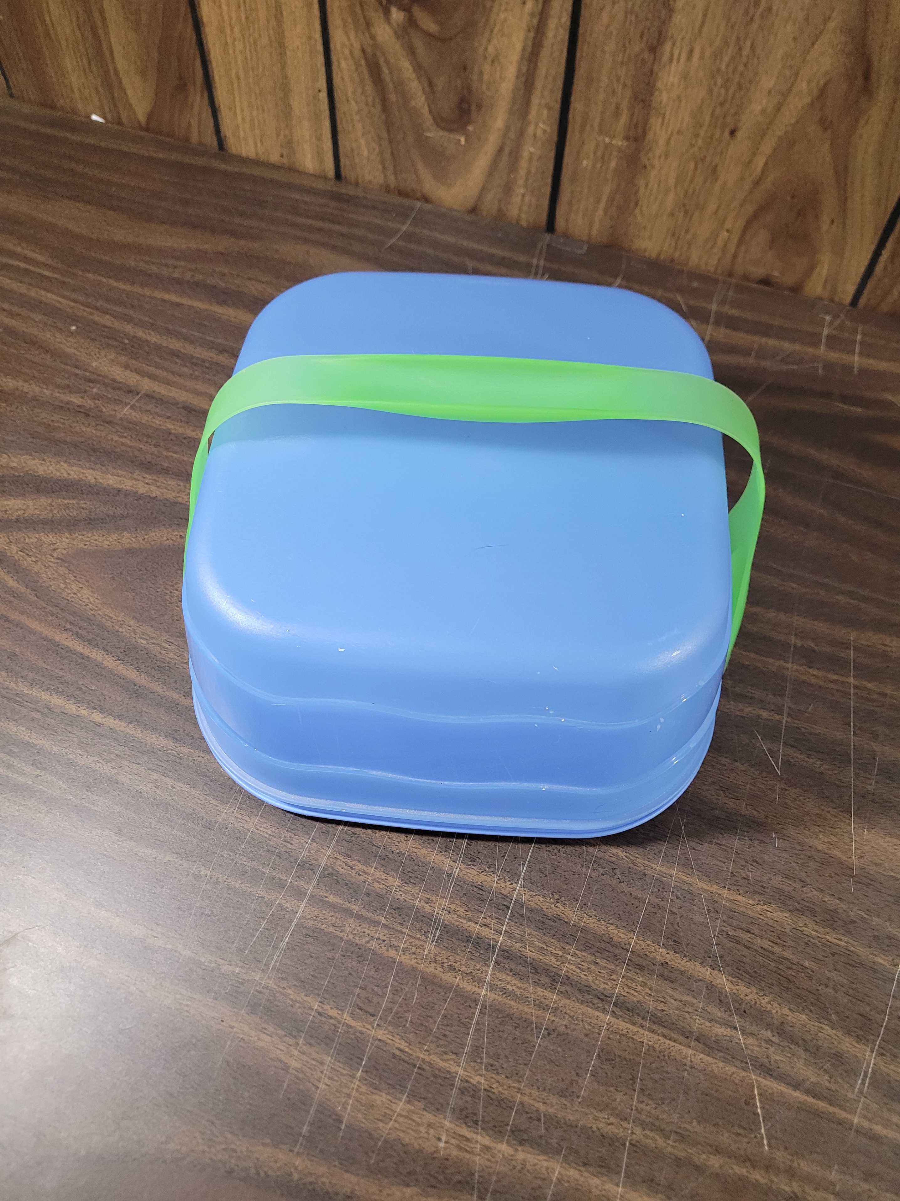 Blue Food Storage Container with Green Strap