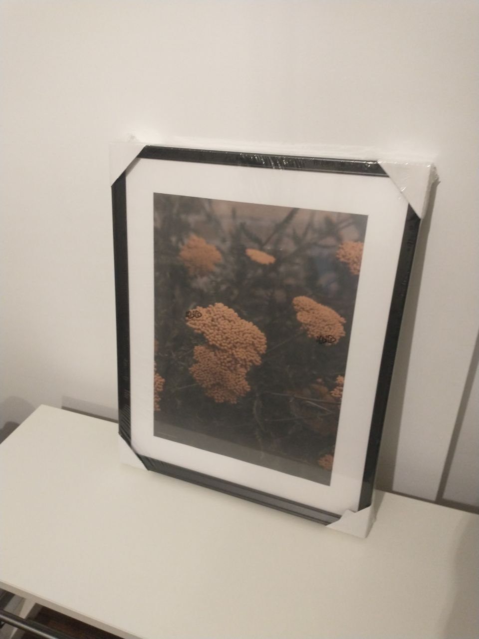 Set of Two Framed Prints - New - photo 2