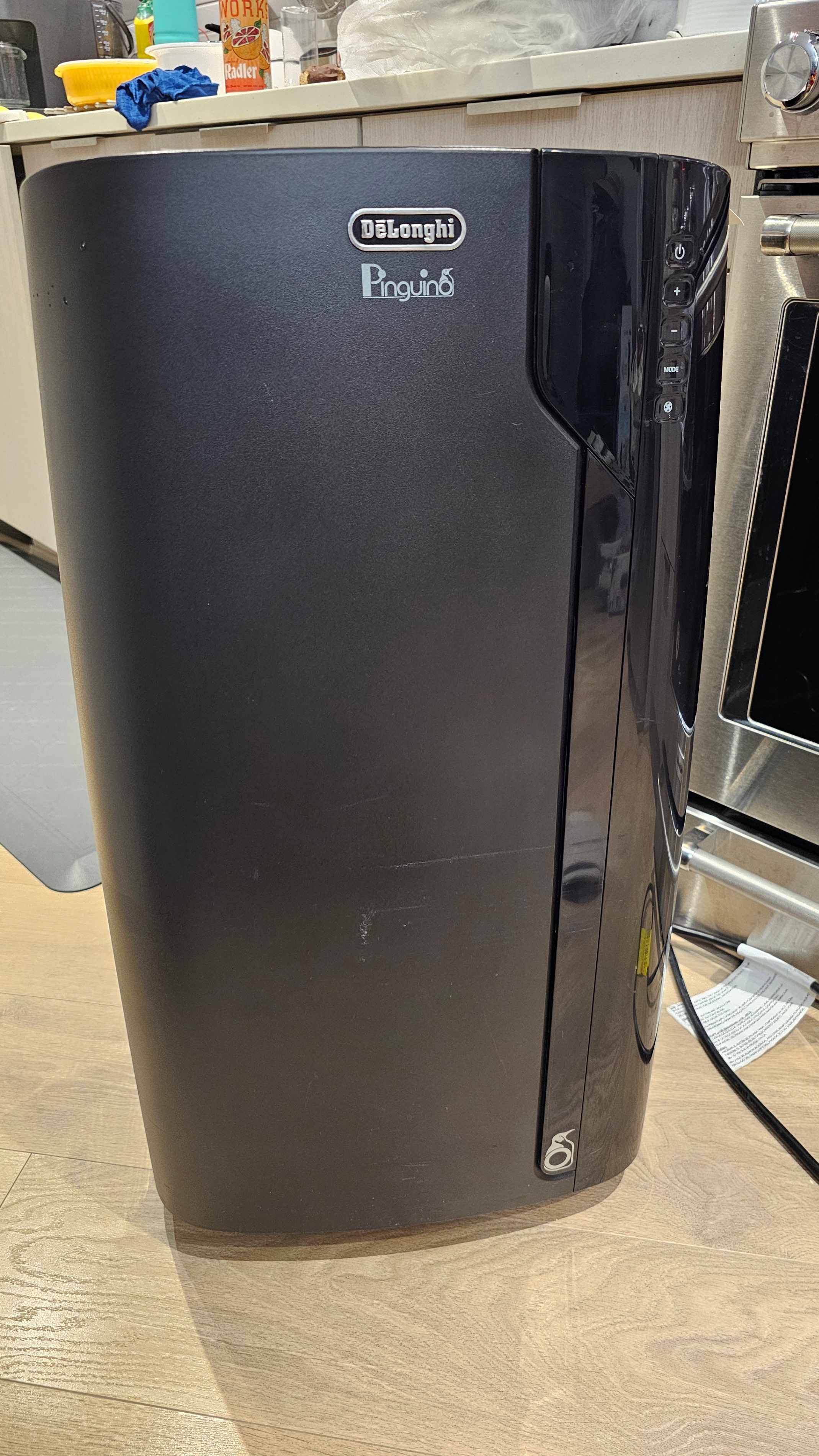 Delonghi Pinguino Portable AC