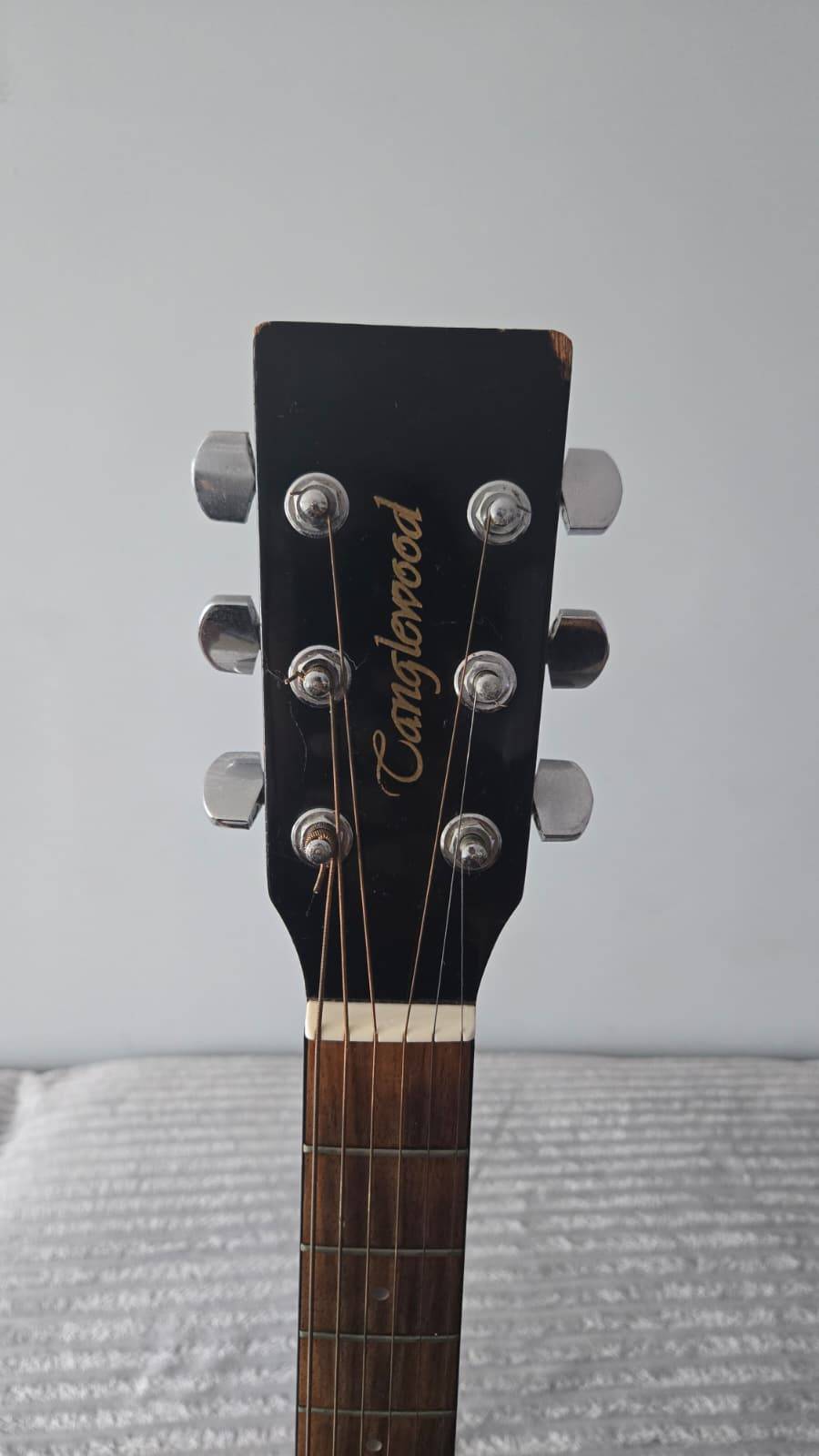 Tanglewood Acoustic-Electric Guitar with Case - photo 5