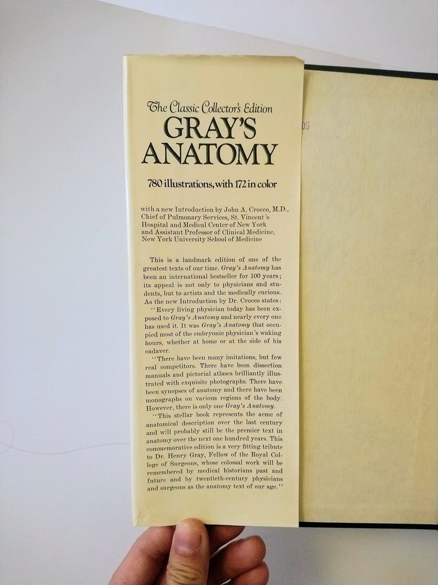 Gray's Anatomy! - photo 3