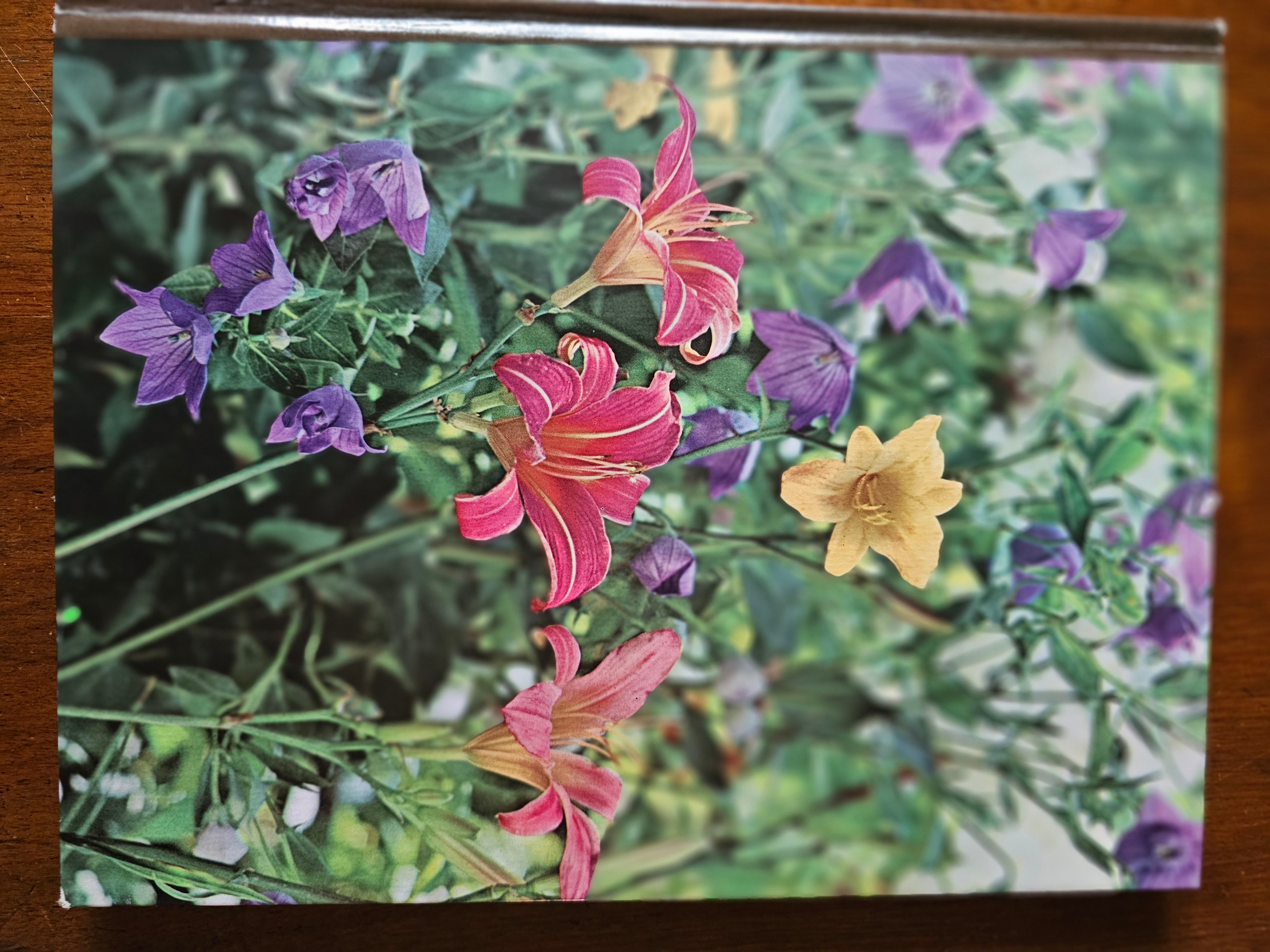 The Time-Life Gardening - 1977/78 - photo 3