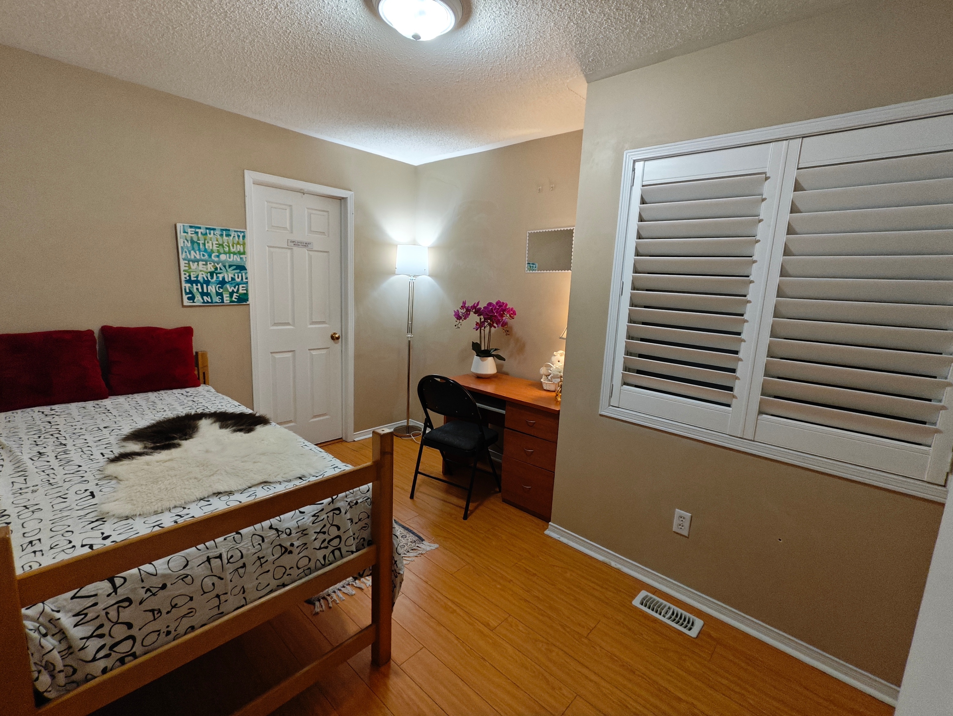 【female only】York Uni. 1 room shared washroom