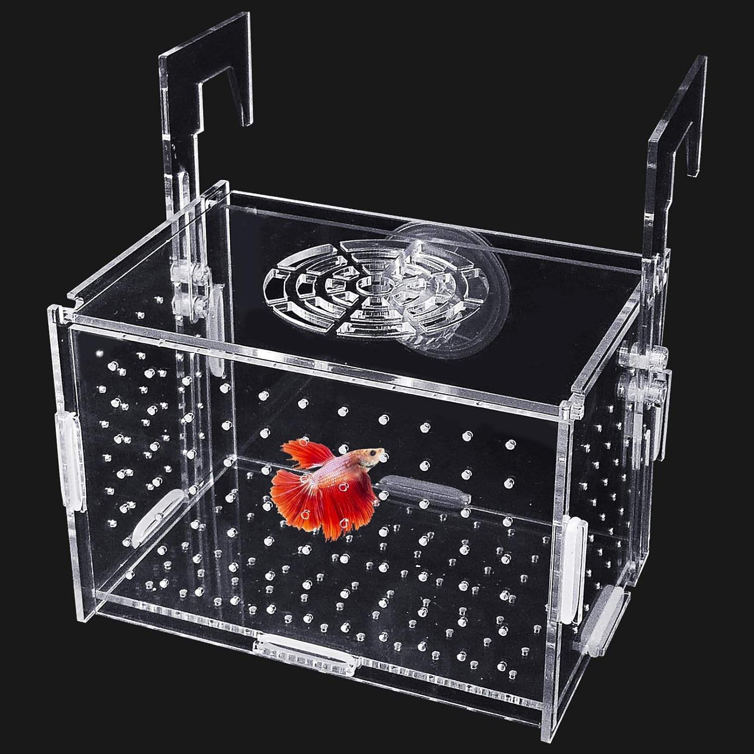 Hamideiledyi Acrylic Breeding Isolation Box - photo 3