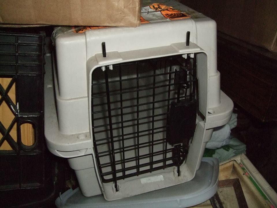 Pet Carrier Crate