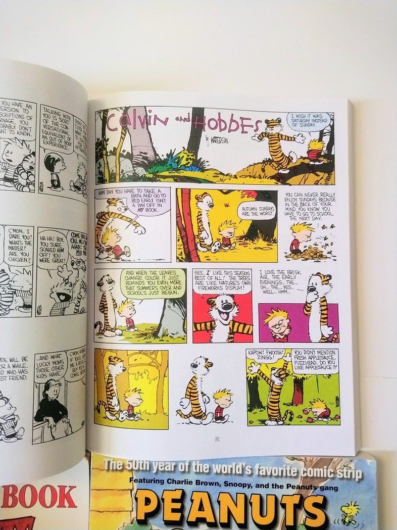 Calvin and Hobbes & Peanuts books! - photo 5