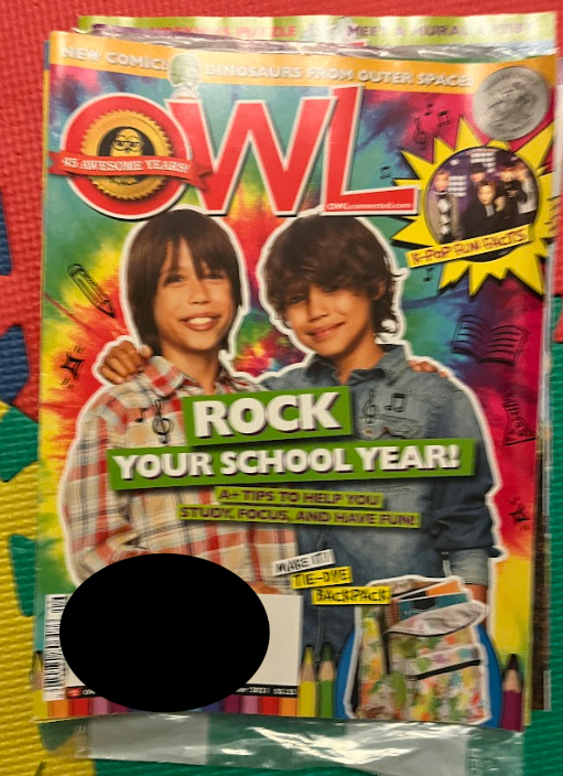 Bundle of OWL Magazines - photo 2