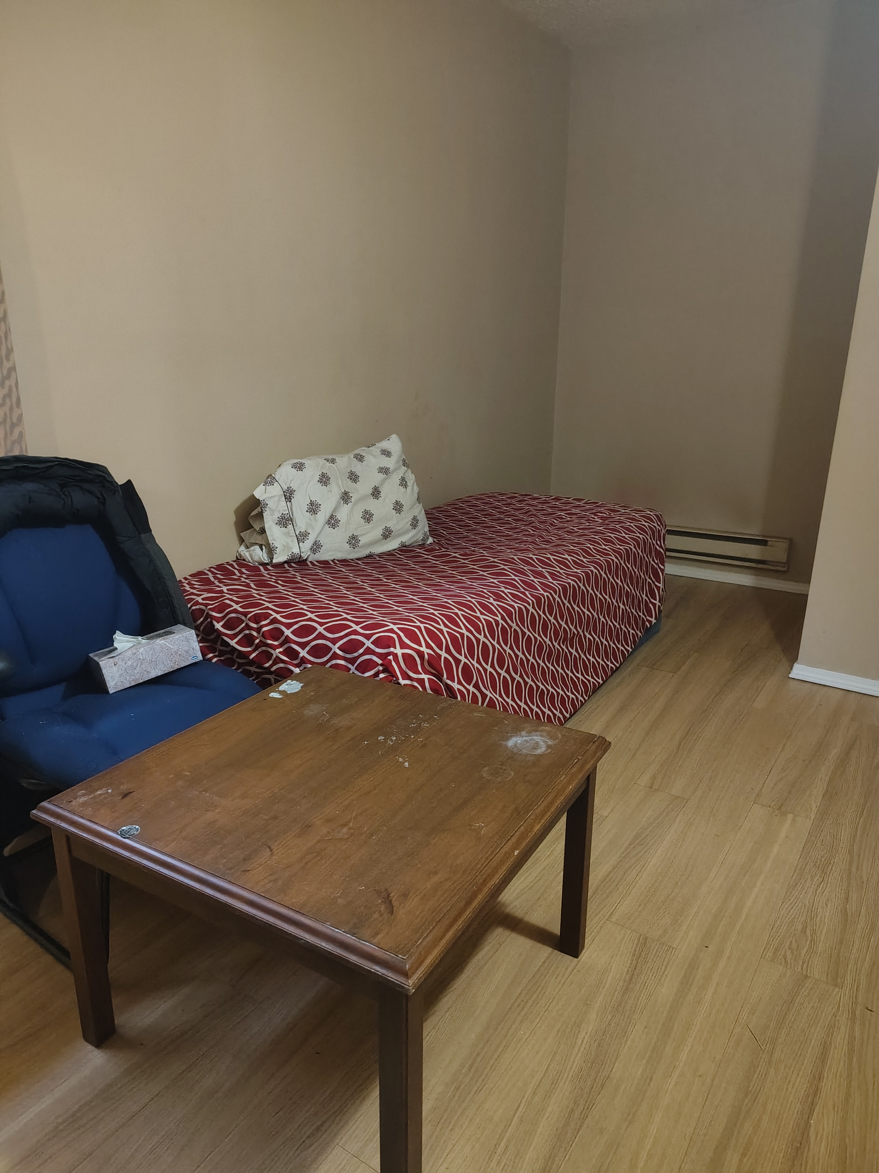 SPACIOUS AND QUIET BASEMENT ROOM FOR RENT, LOCATED 113 AVE 96 ST - photo 3