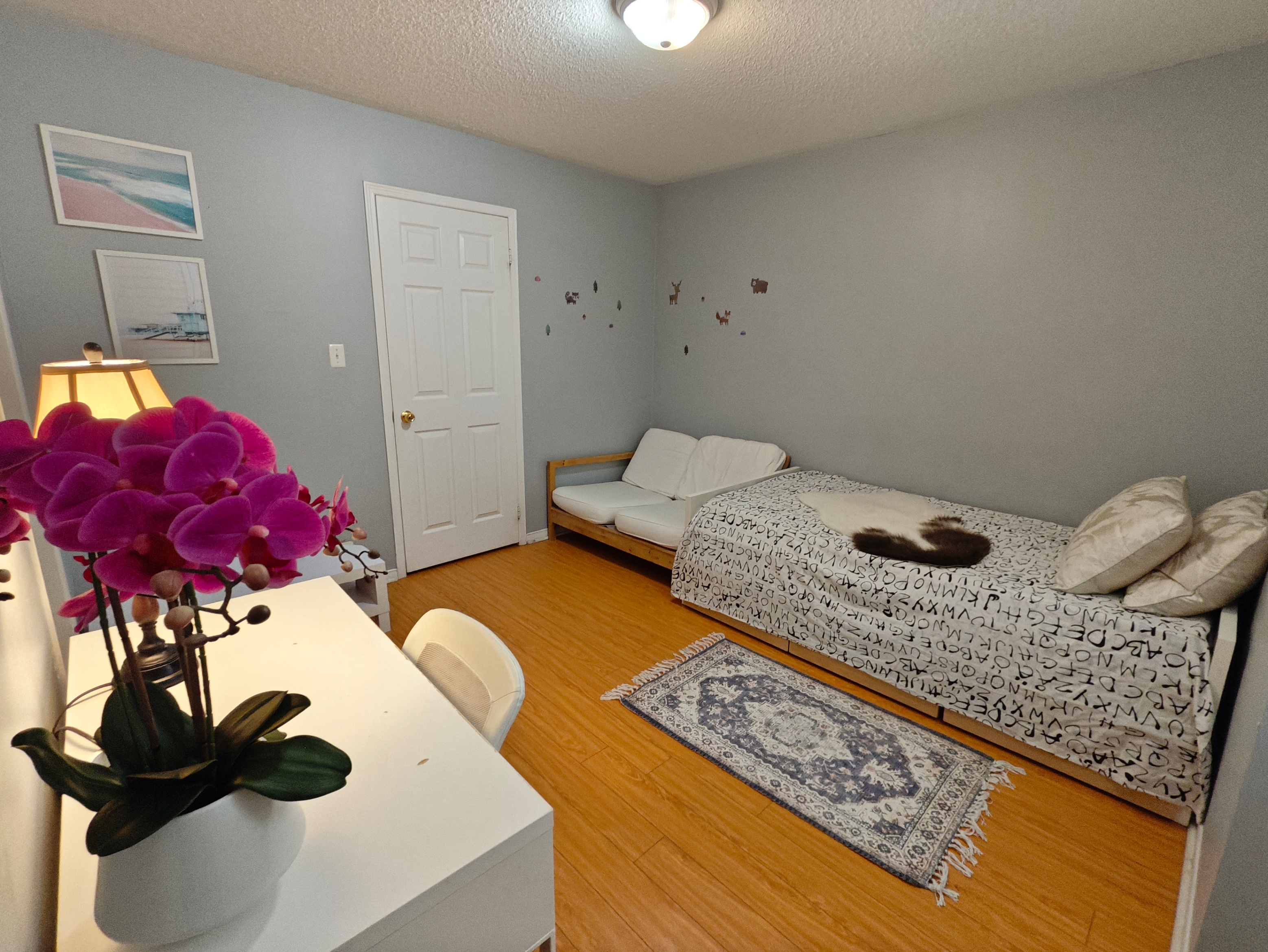 【female only】York Uni. 1 room shared washroom