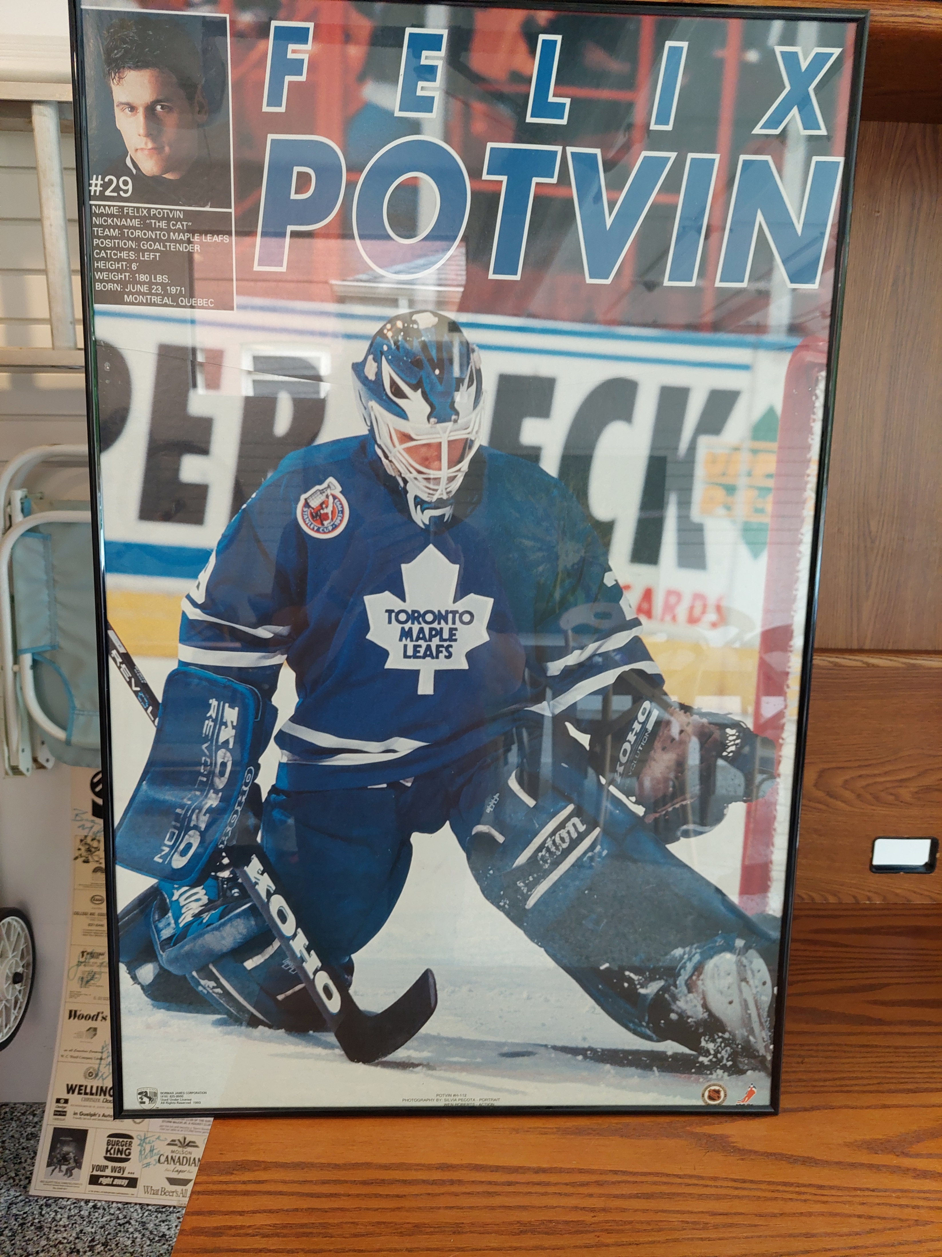 Felix Potvin "The Cat" Toronto Maple Leafs Goalie Poster - photo 2