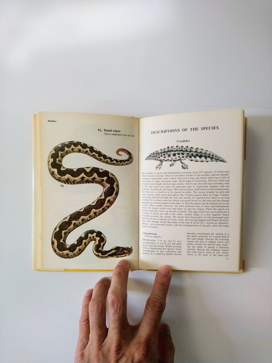 Reptile and Amphibian books! - photo 5