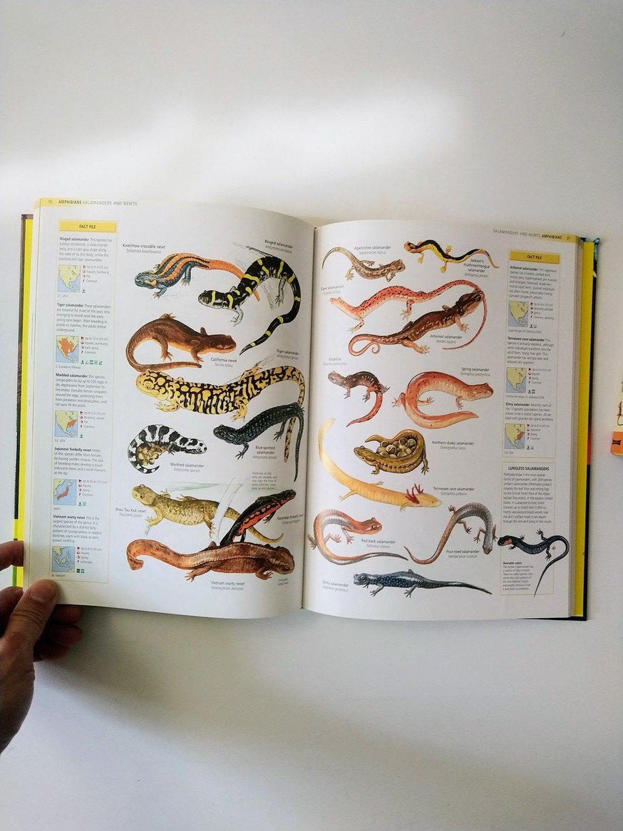 Reptile and Amphibian books! - photo 3
