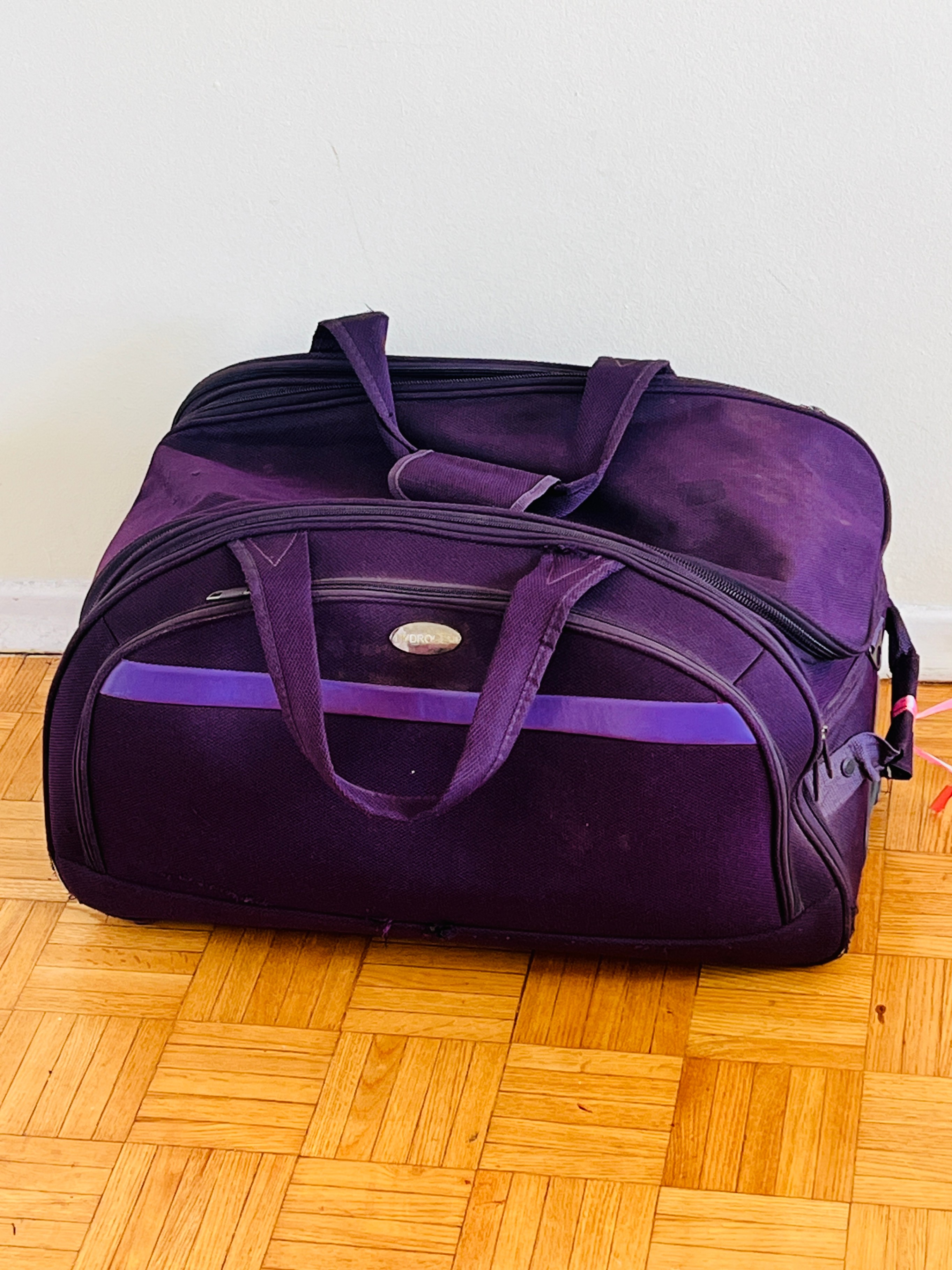 Purple color Big travel Trolley with 2 wheels 60cm x 36cm x 36cm