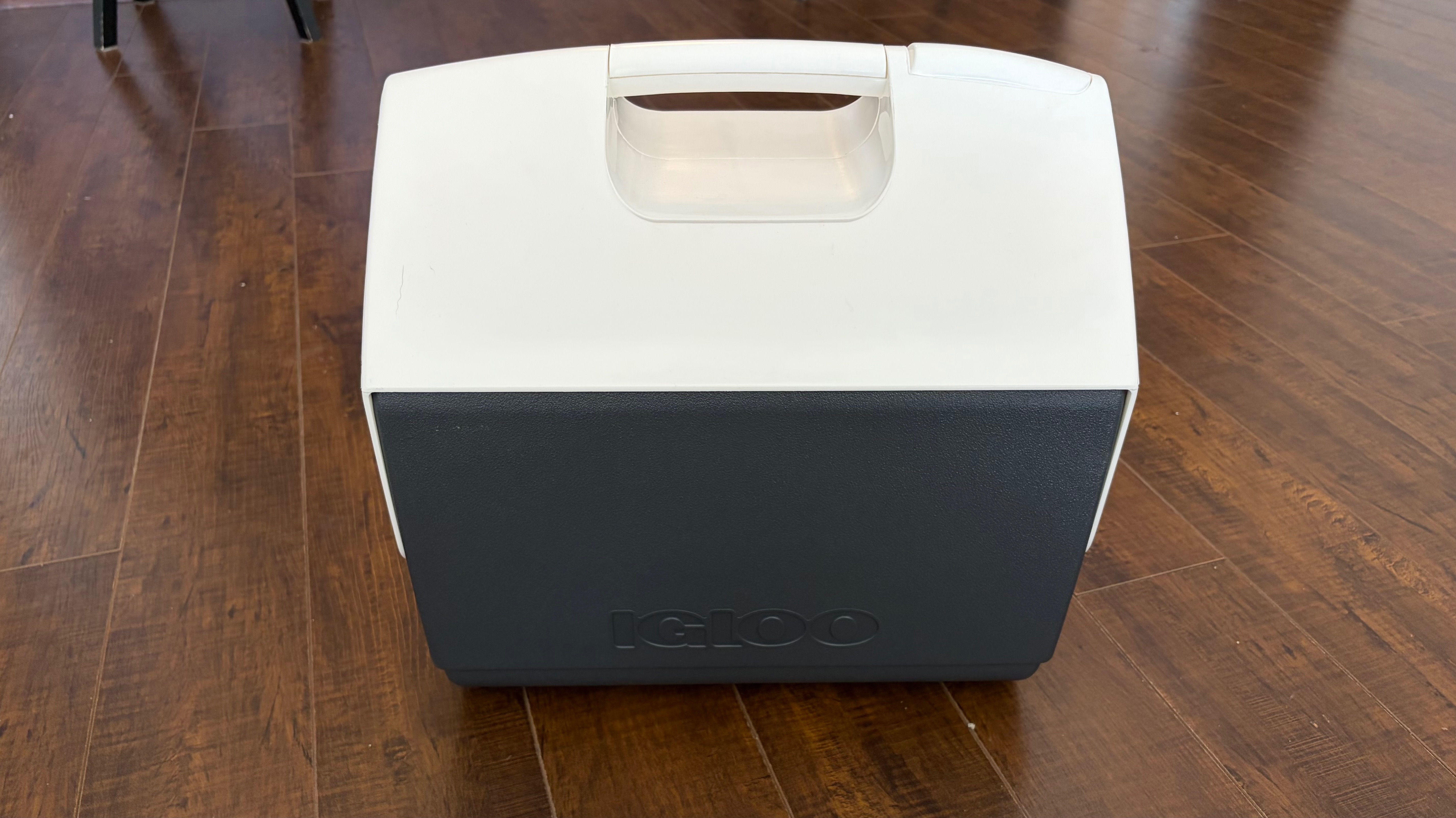Igloo Playmate Cooler with Ice Packs - photo 2