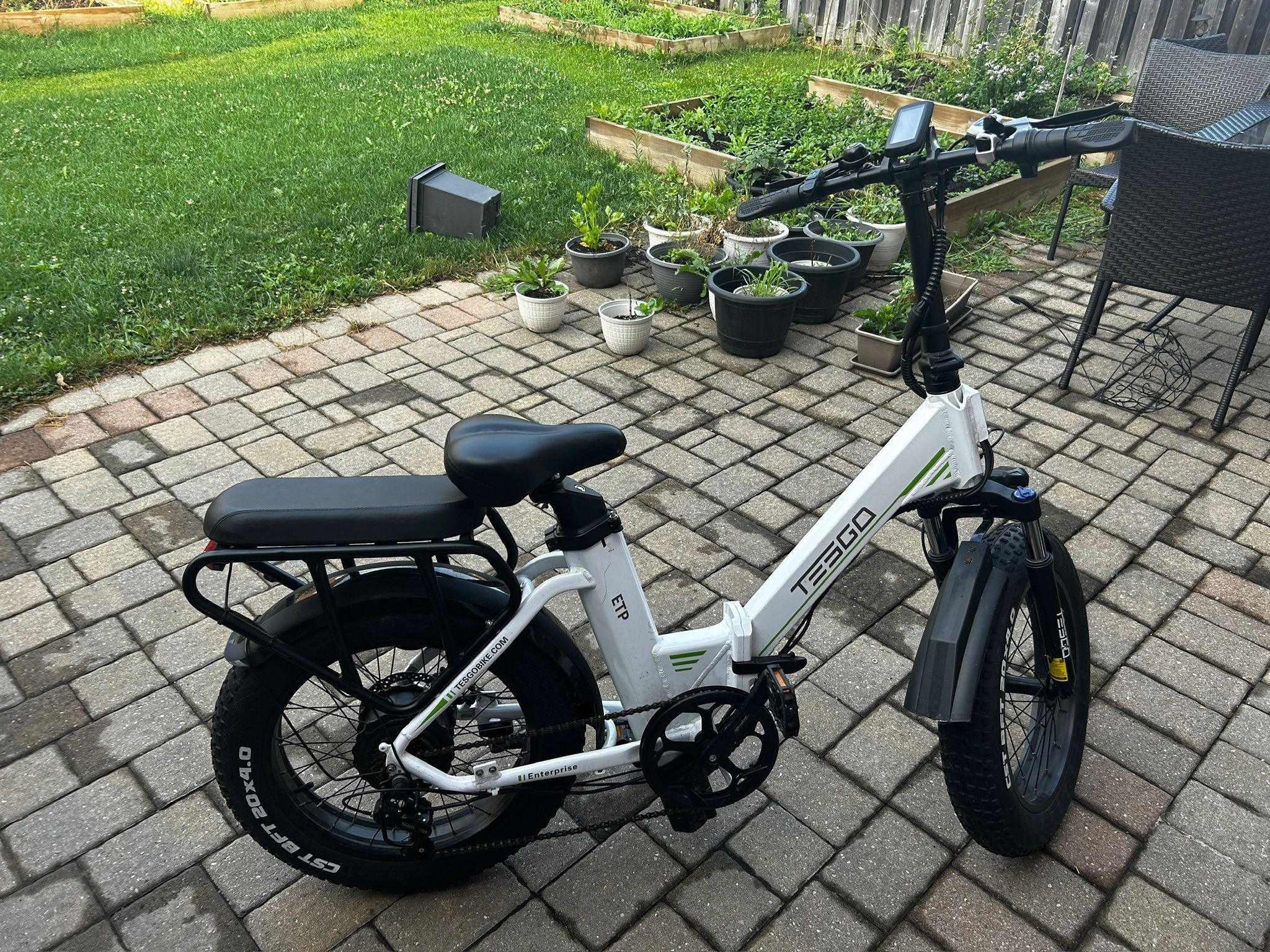 Folding Electric Bike