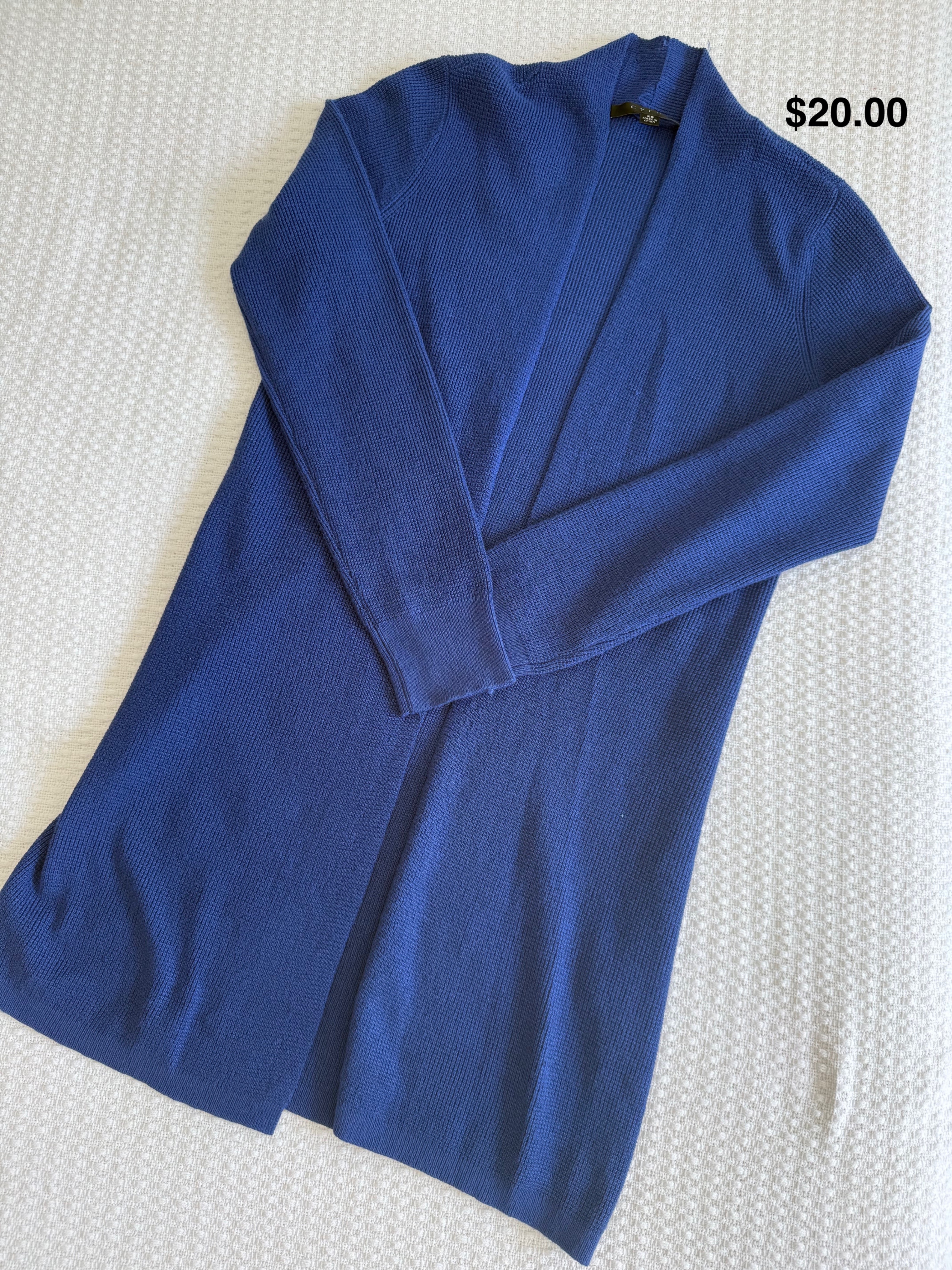 Blue Cardigan