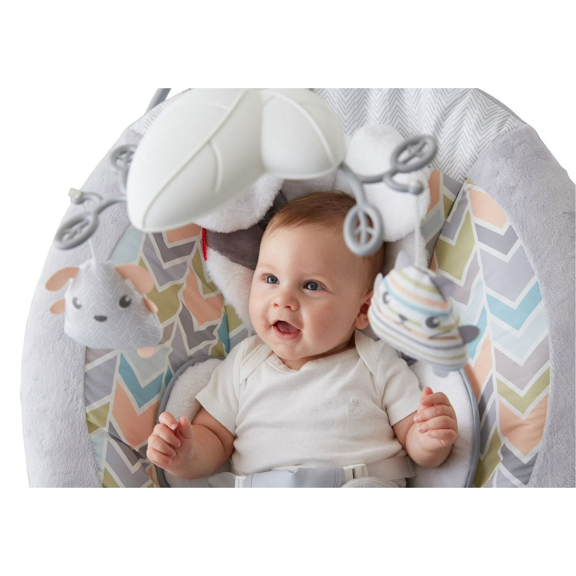 Fisher-Price Sweet Snugapuppy Dreams Deluxe Bouncer