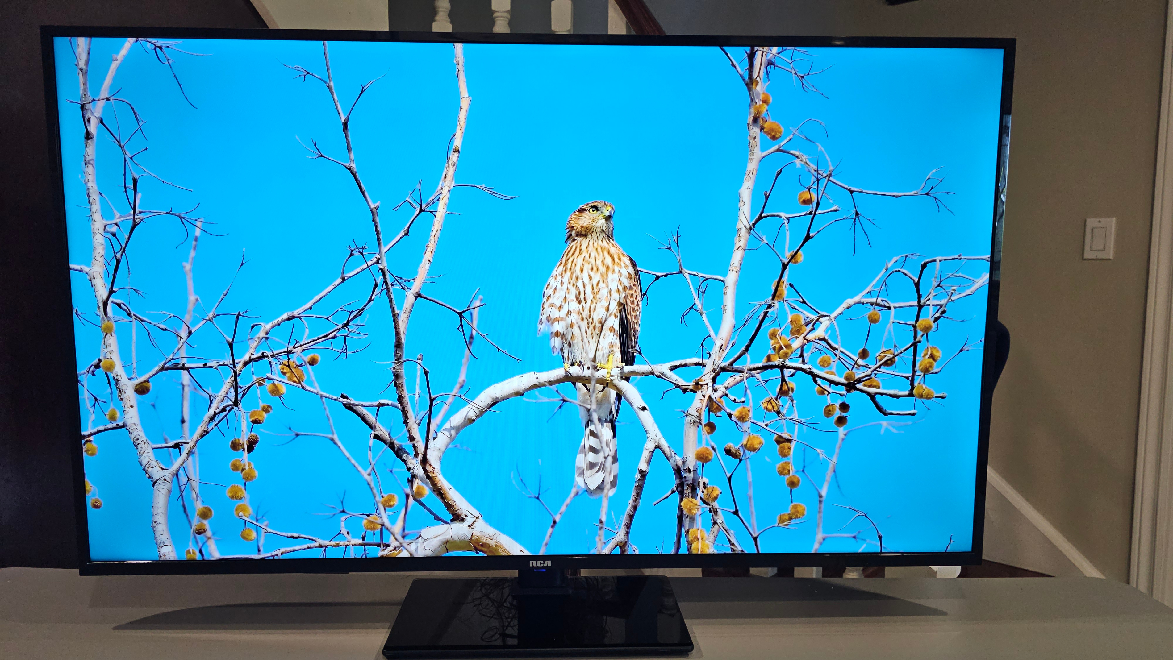 55" RCA smart 4K WebOS TV RWOSU5549