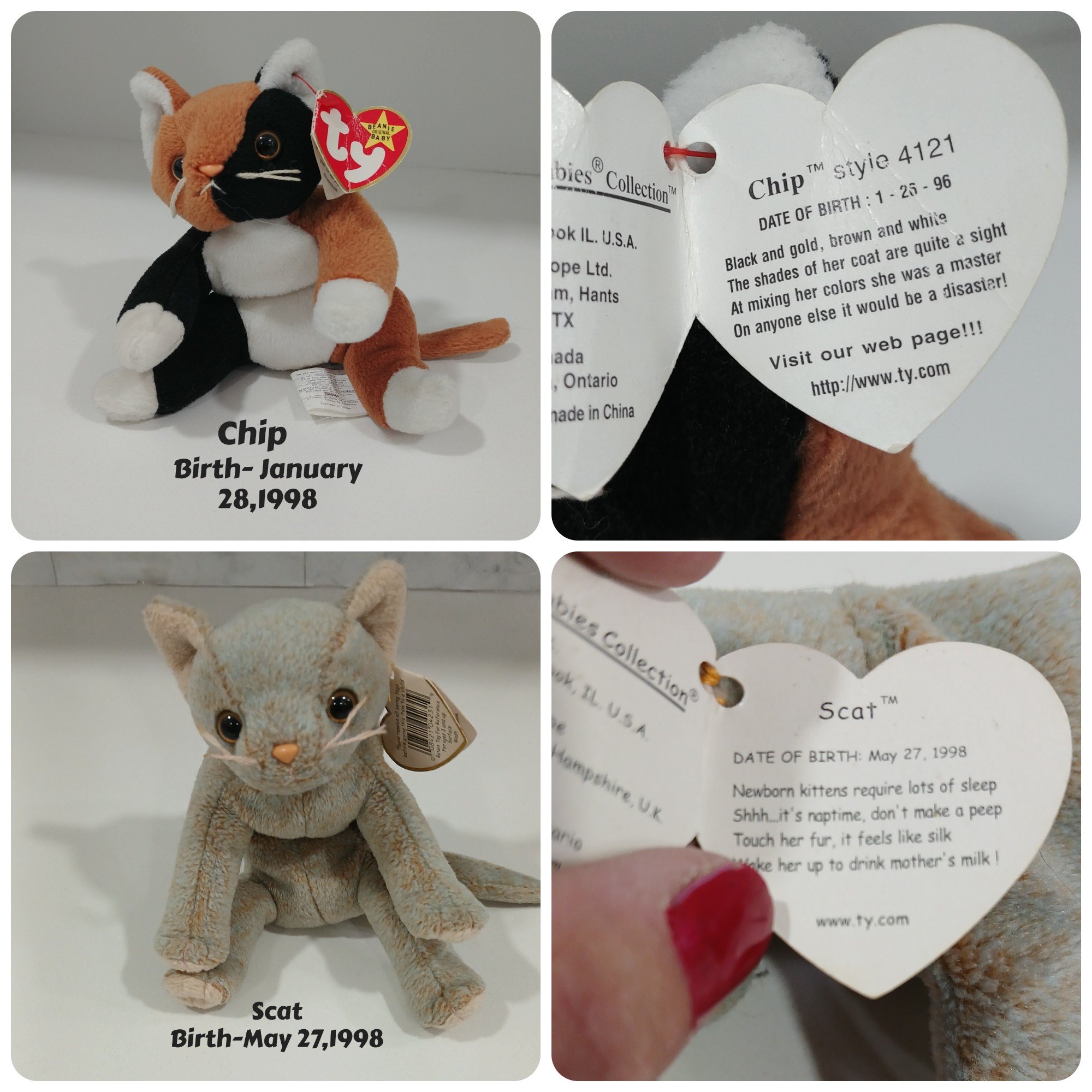 Ty Beanie Babies Chip and Scat Plush Toys, Both for