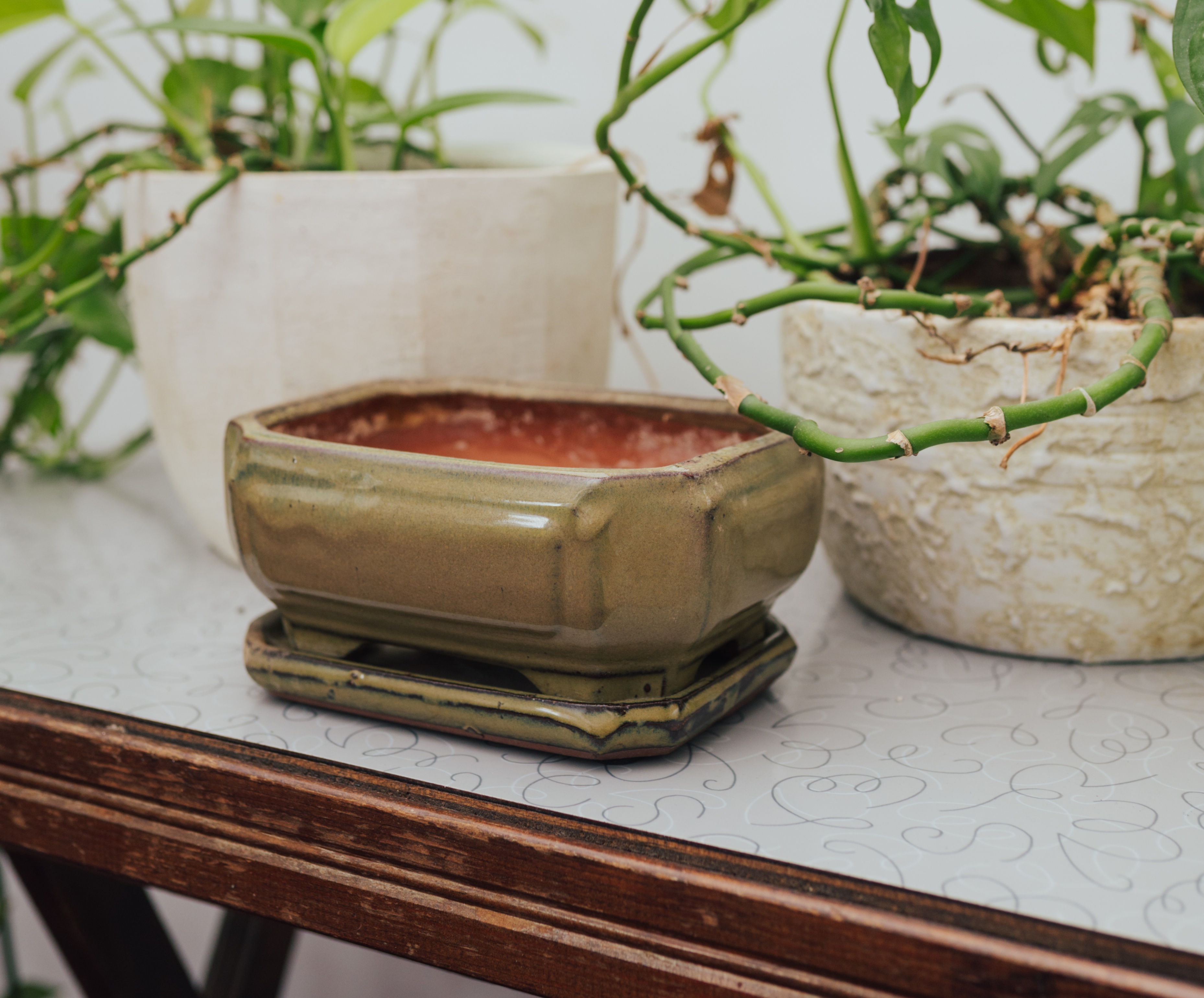 Olive Glaze Bonsai Planter with Matching Tray