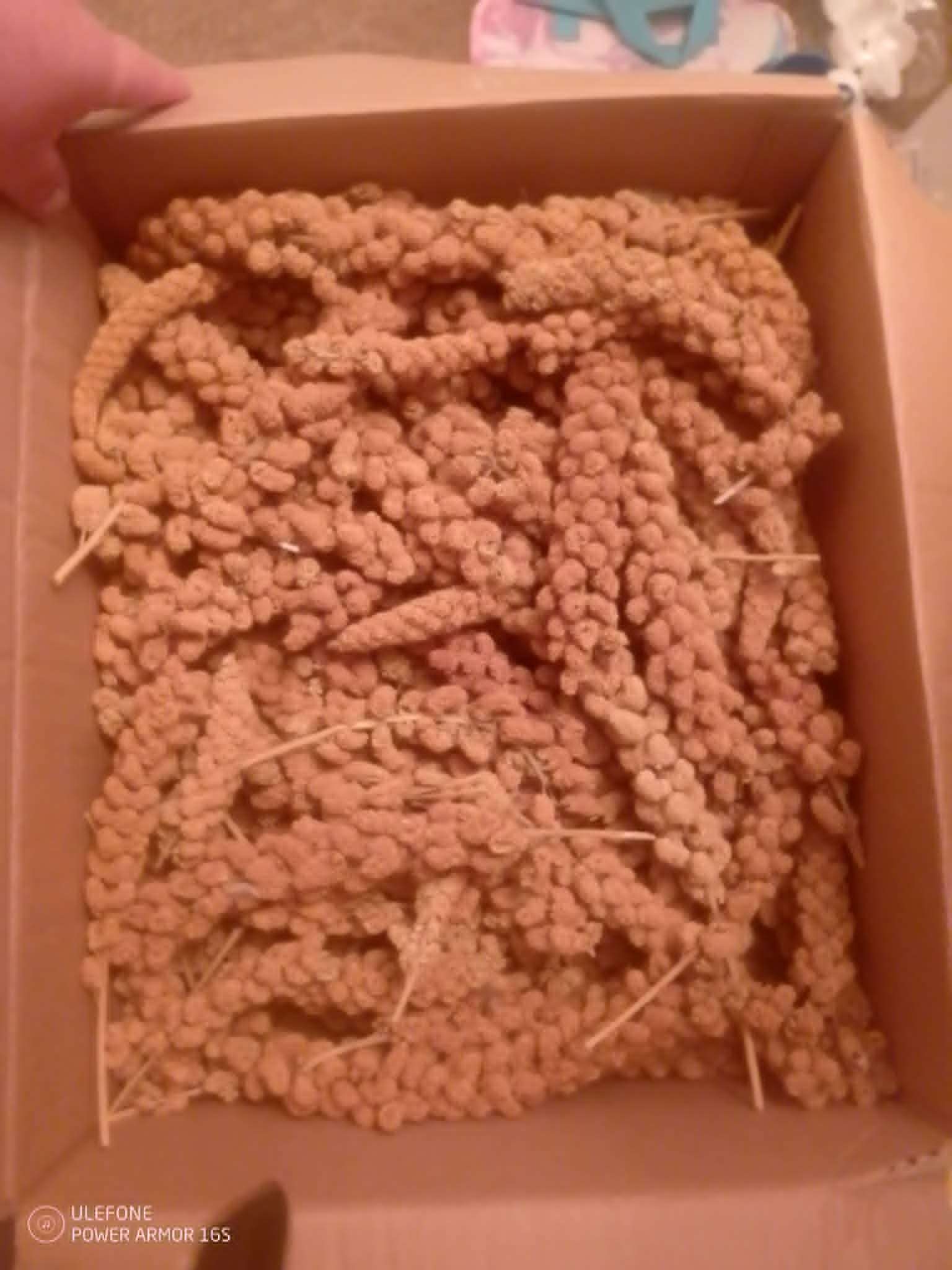 4-5 lbs Spray Millet - photo 2