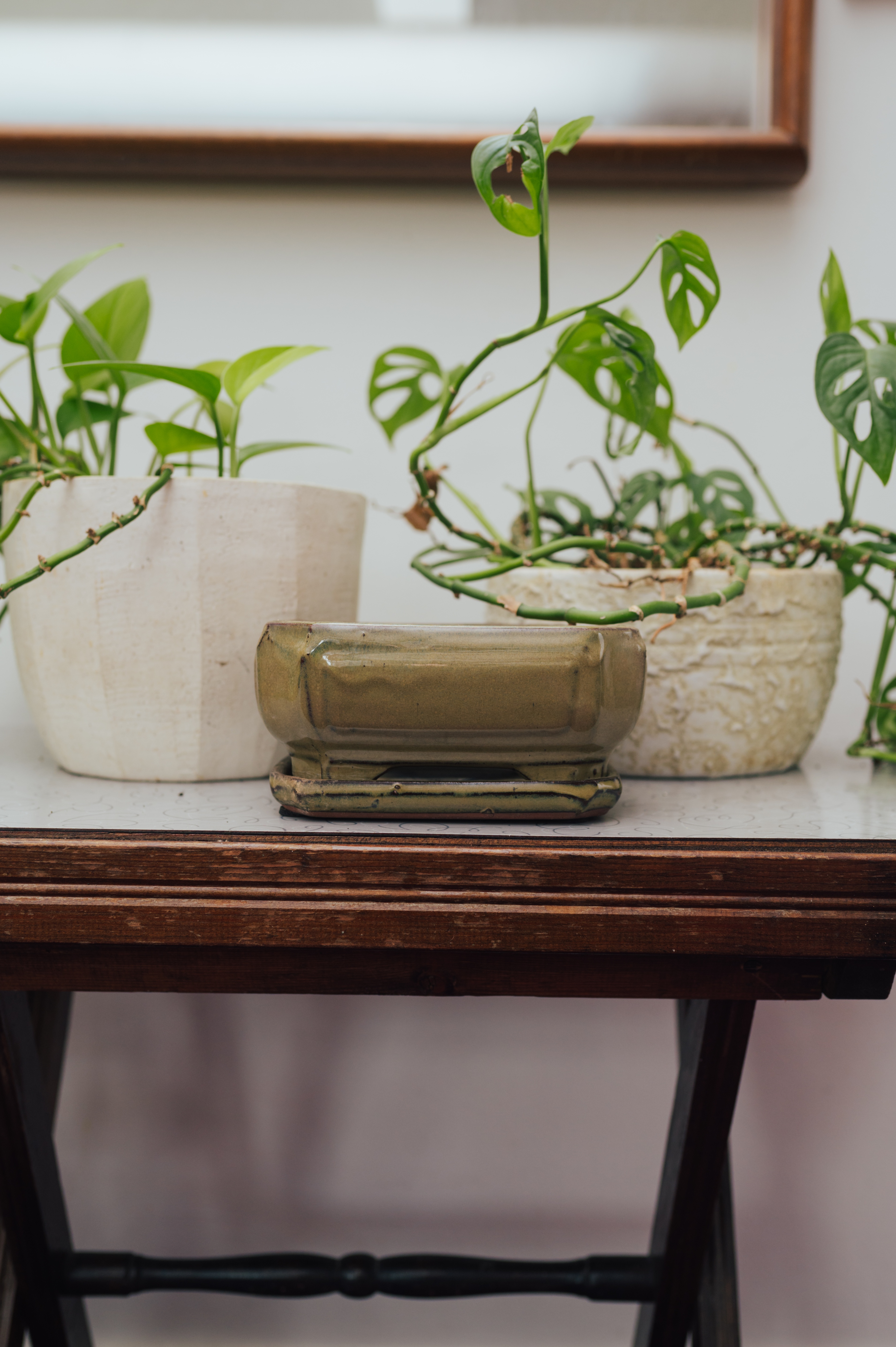 Olive Glaze Bonsai Planter with Matching Tray - photo 4