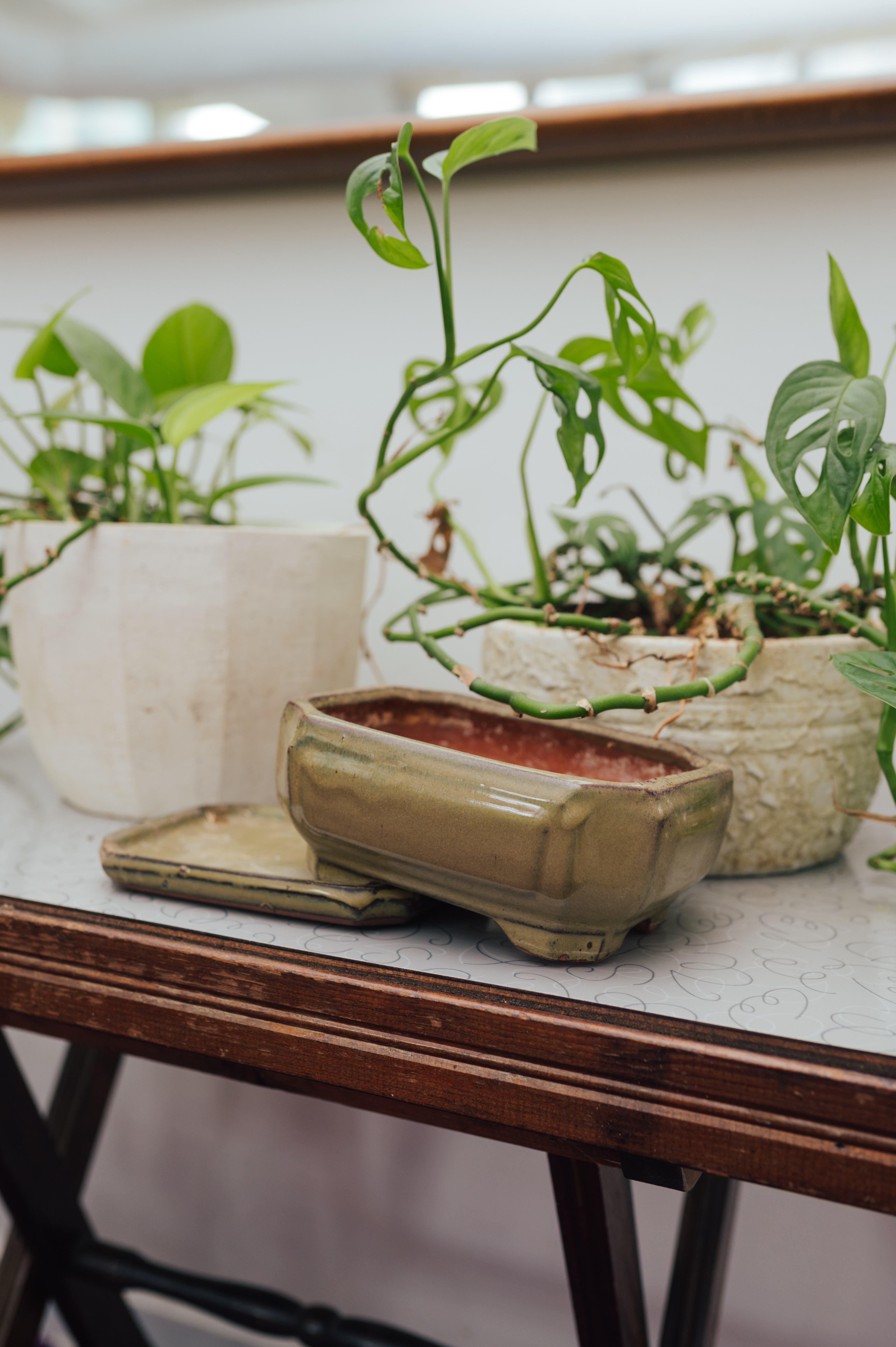 Olive Glaze Bonsai Planter with Matching Tray - photo 3