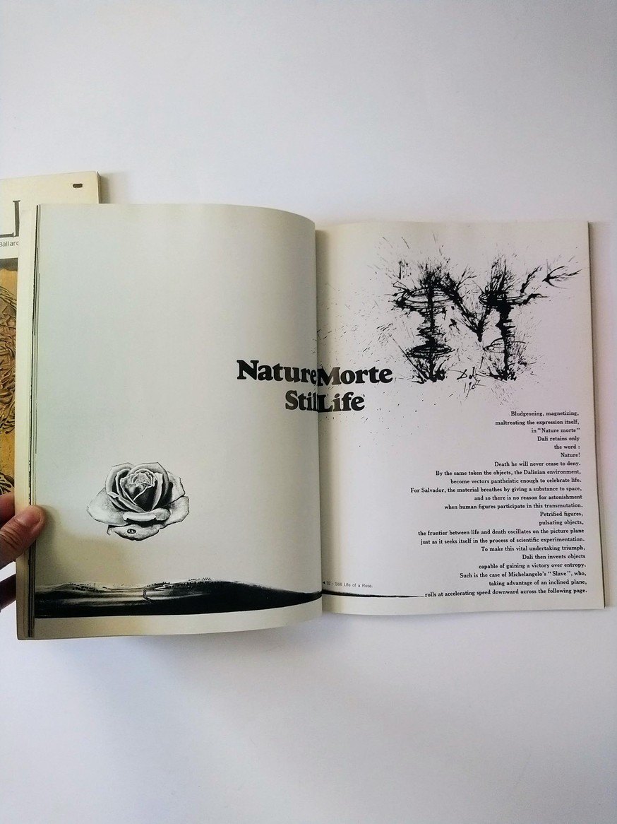 Dali books! - photo 5