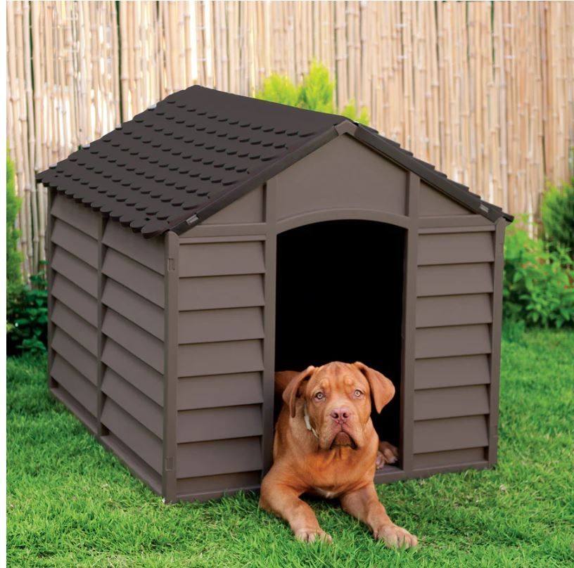 Dog House - photo 2