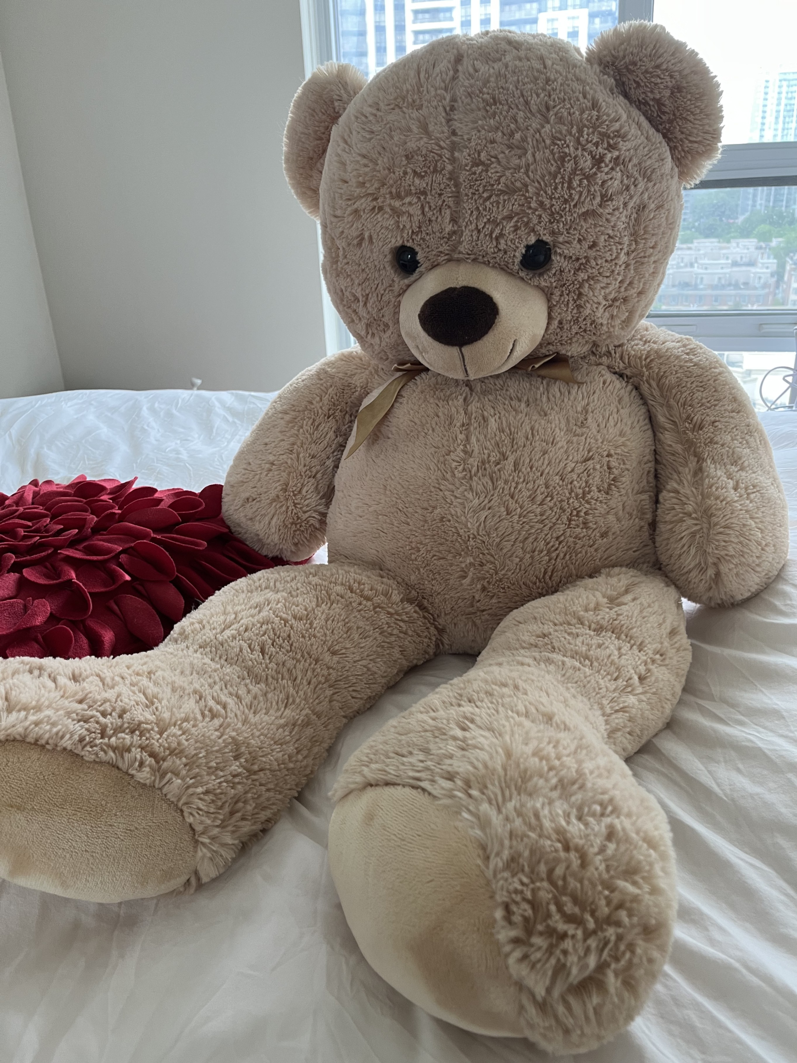 Big Teddy bear and a red throw pillow
