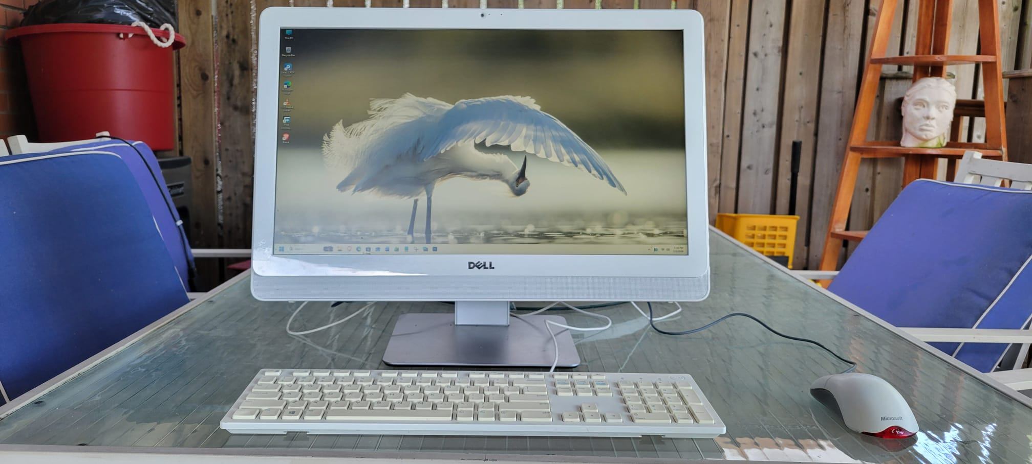 24" Dell Inspiron AIO All-In-One Windows 11 Office 8GB SSD