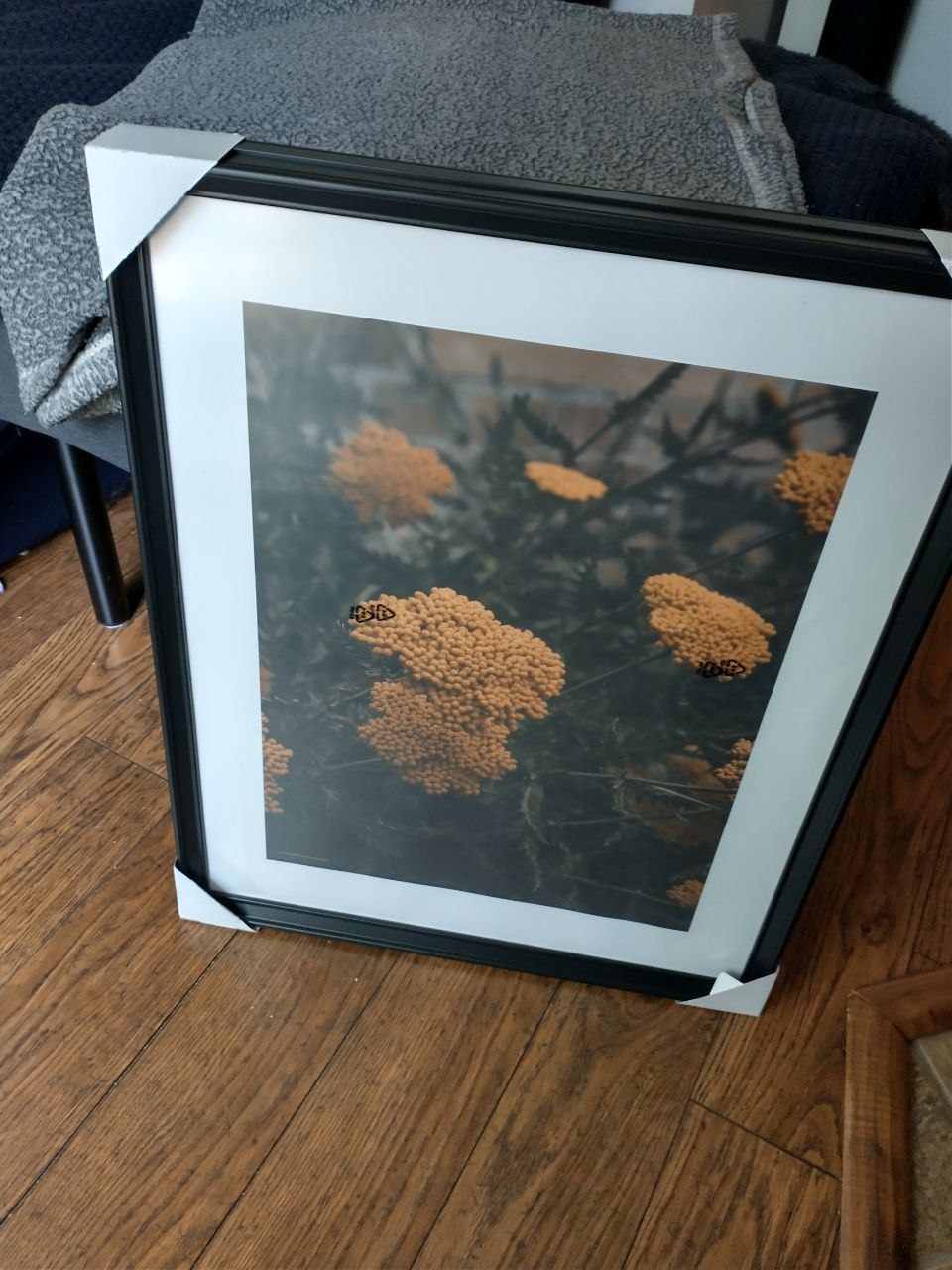 Set of Two Framed Prints - New - photo 2