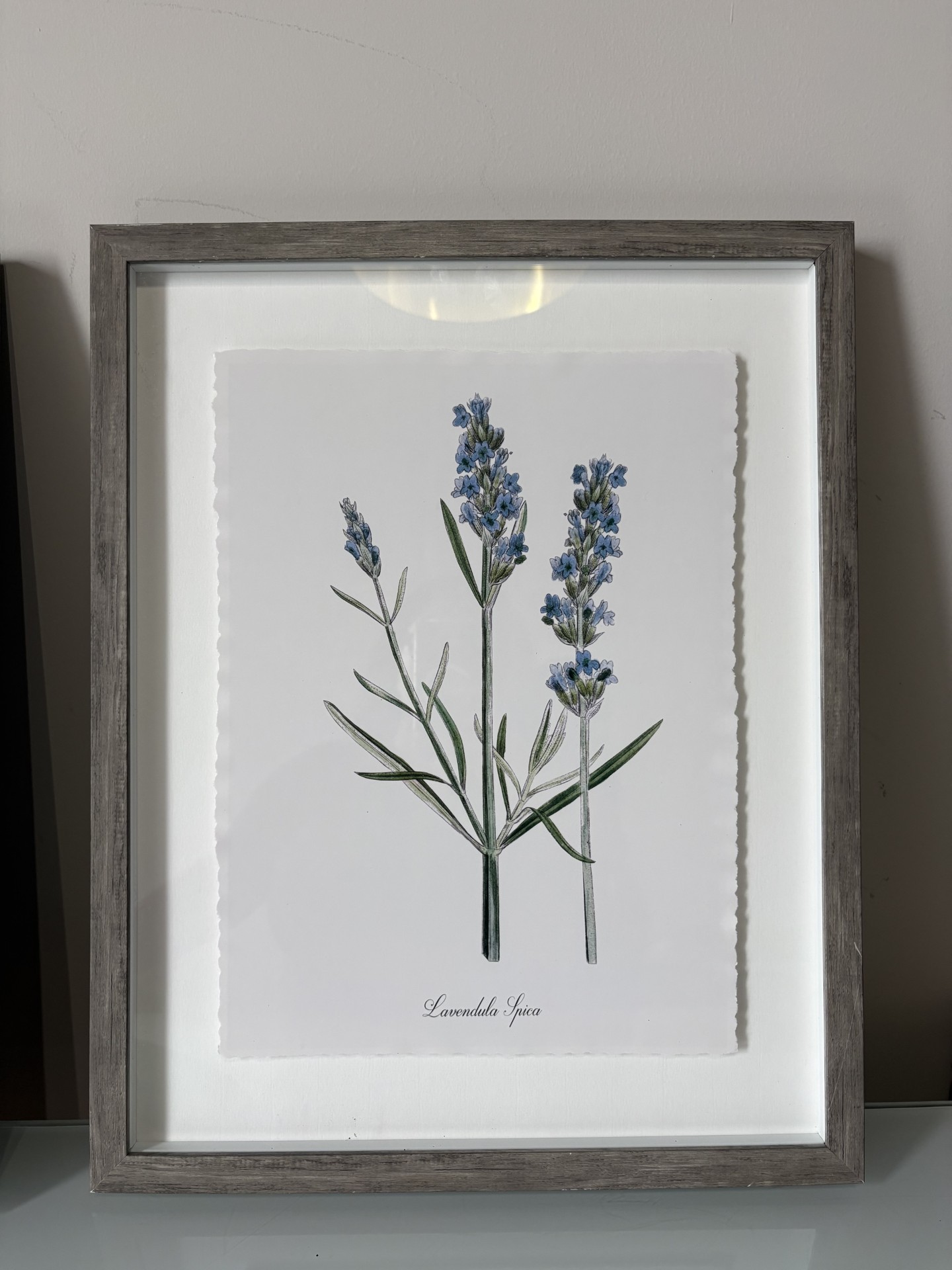 Set of 3 Framed Botanical Floral Prints - Target - photo 4