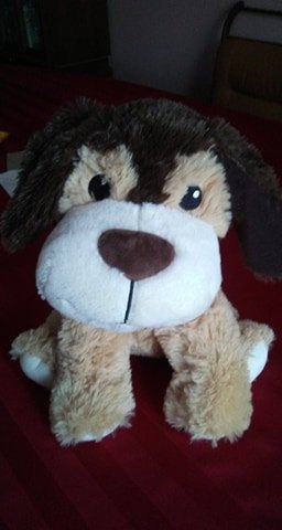 Dog Plush that Squeaks for Dogs (New) - 12 Inches