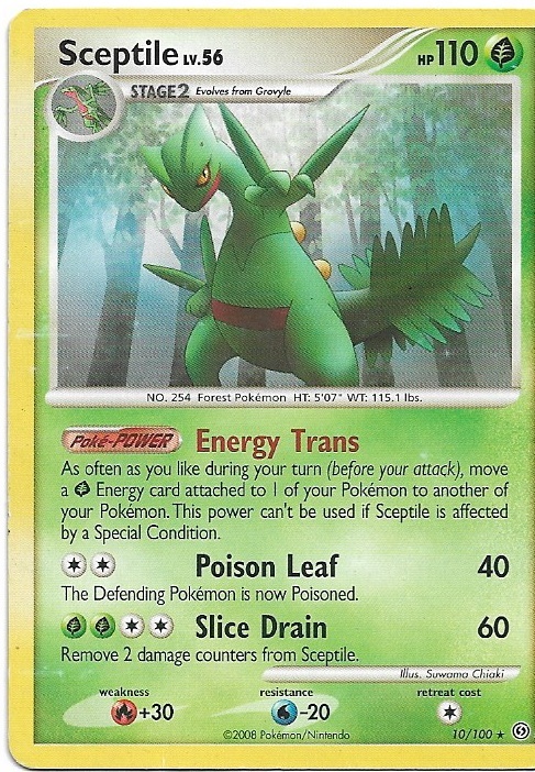 Pokemon Sceptile 10/100 Stormfront Non-Holo DMG