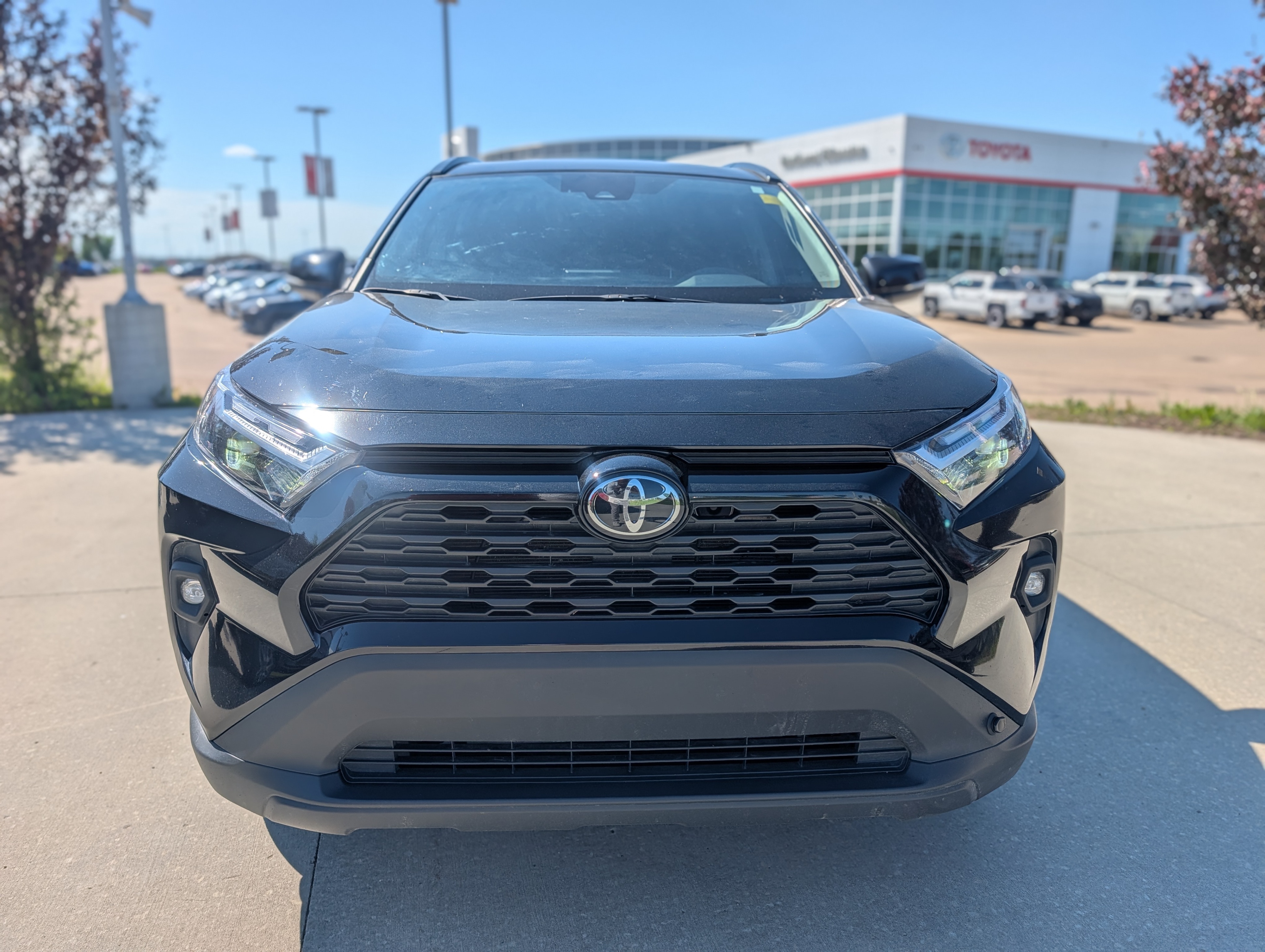 2024 Toyota RAV4 - photo 2